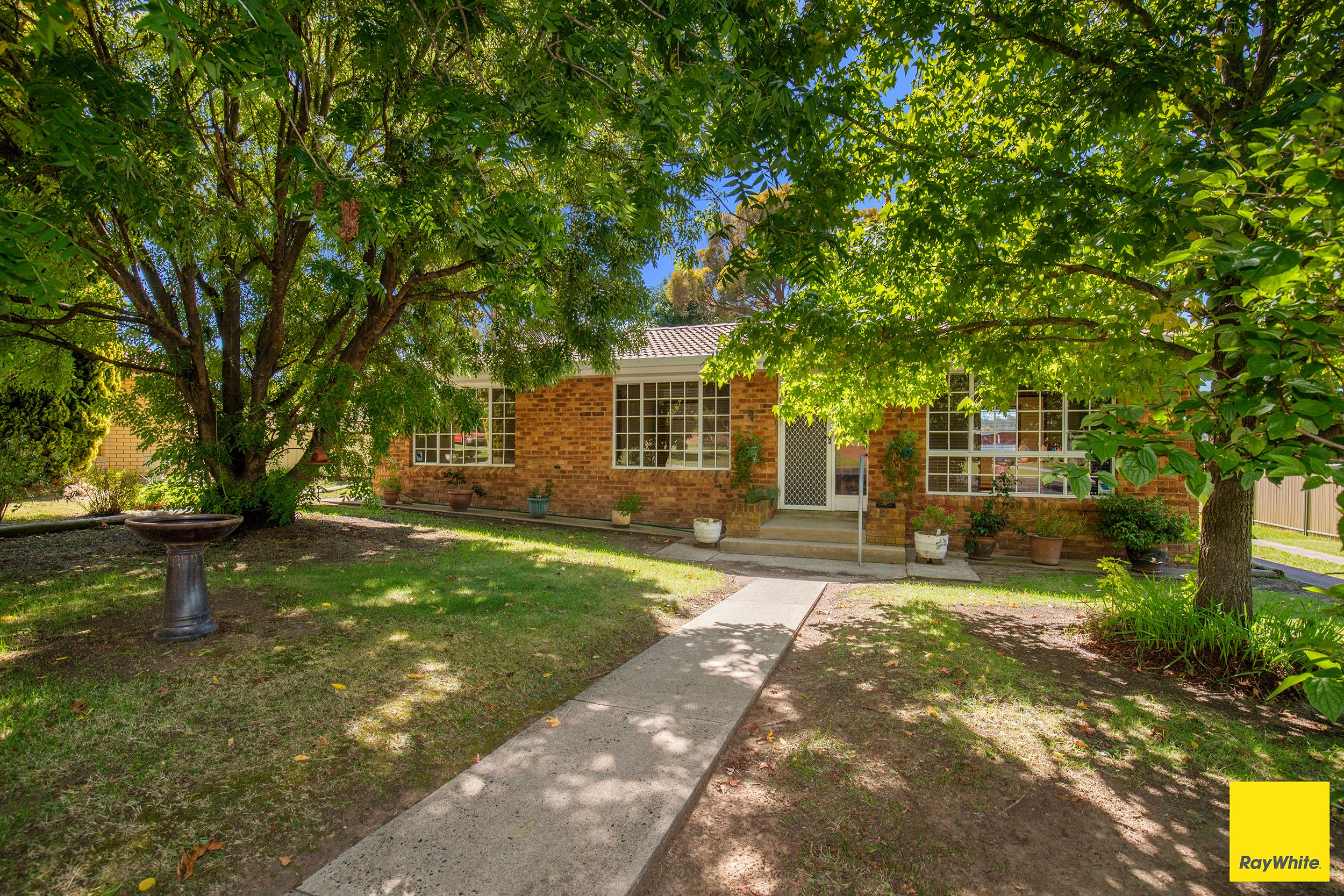 16 Howard Place, Armidale NSW 2350