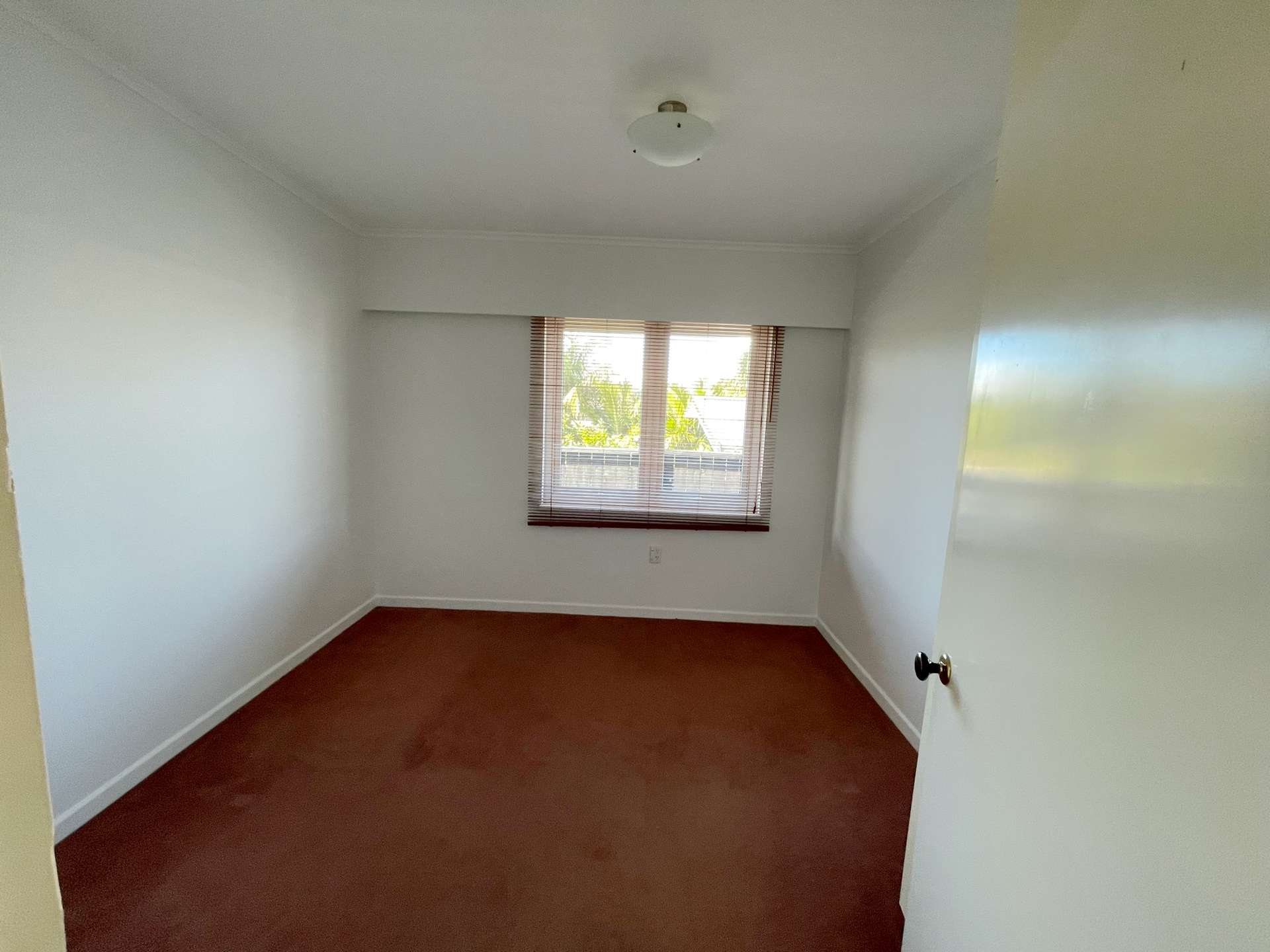 136 Hugh Green Drive photo 6