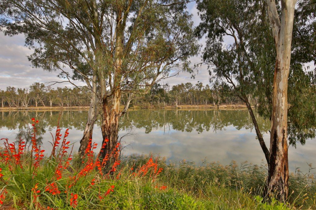 Lot 1 6401a Sturt Highway, Trentham Cliffs, NSW 2738