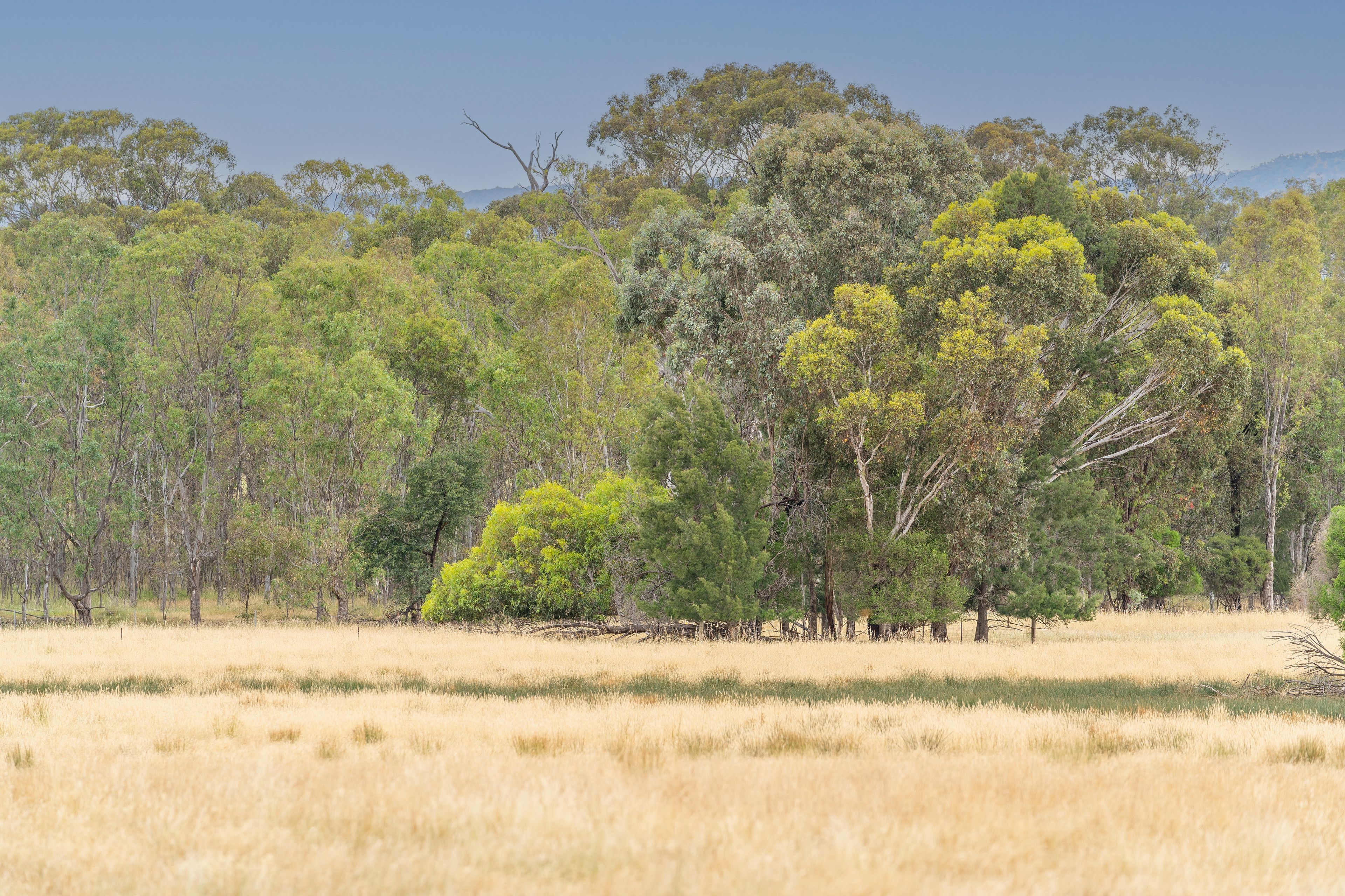 785a Highlands Road, Whiteheads Creek, VIC 3660 Rural Mixed Farming