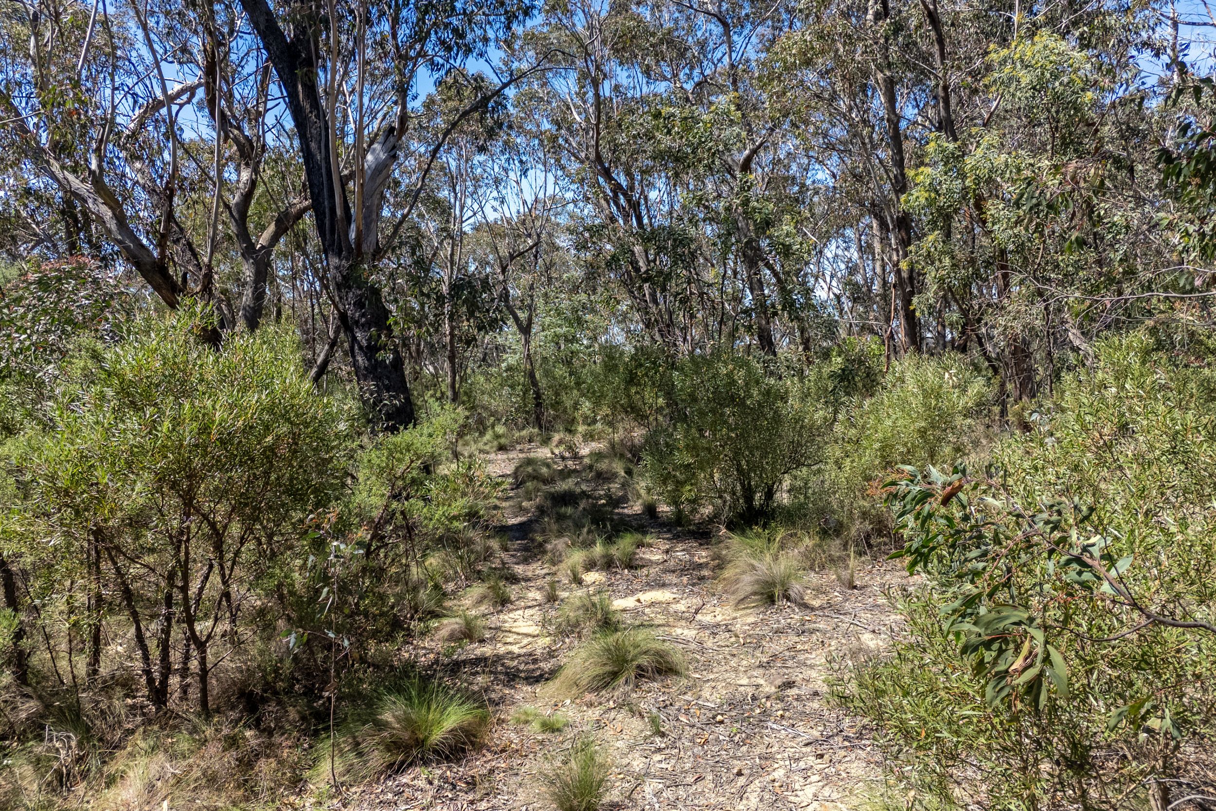 19-21 Closeburn Drive — photo 10 of 12