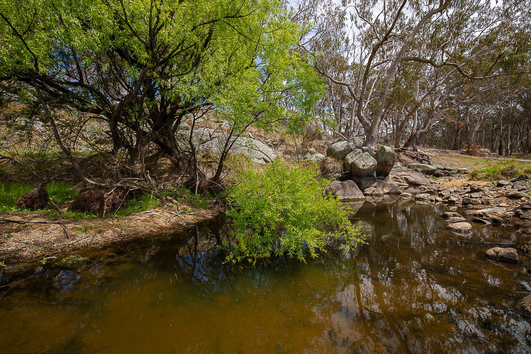 "Araluen" 11623 New England Highway — photo 26 of 30