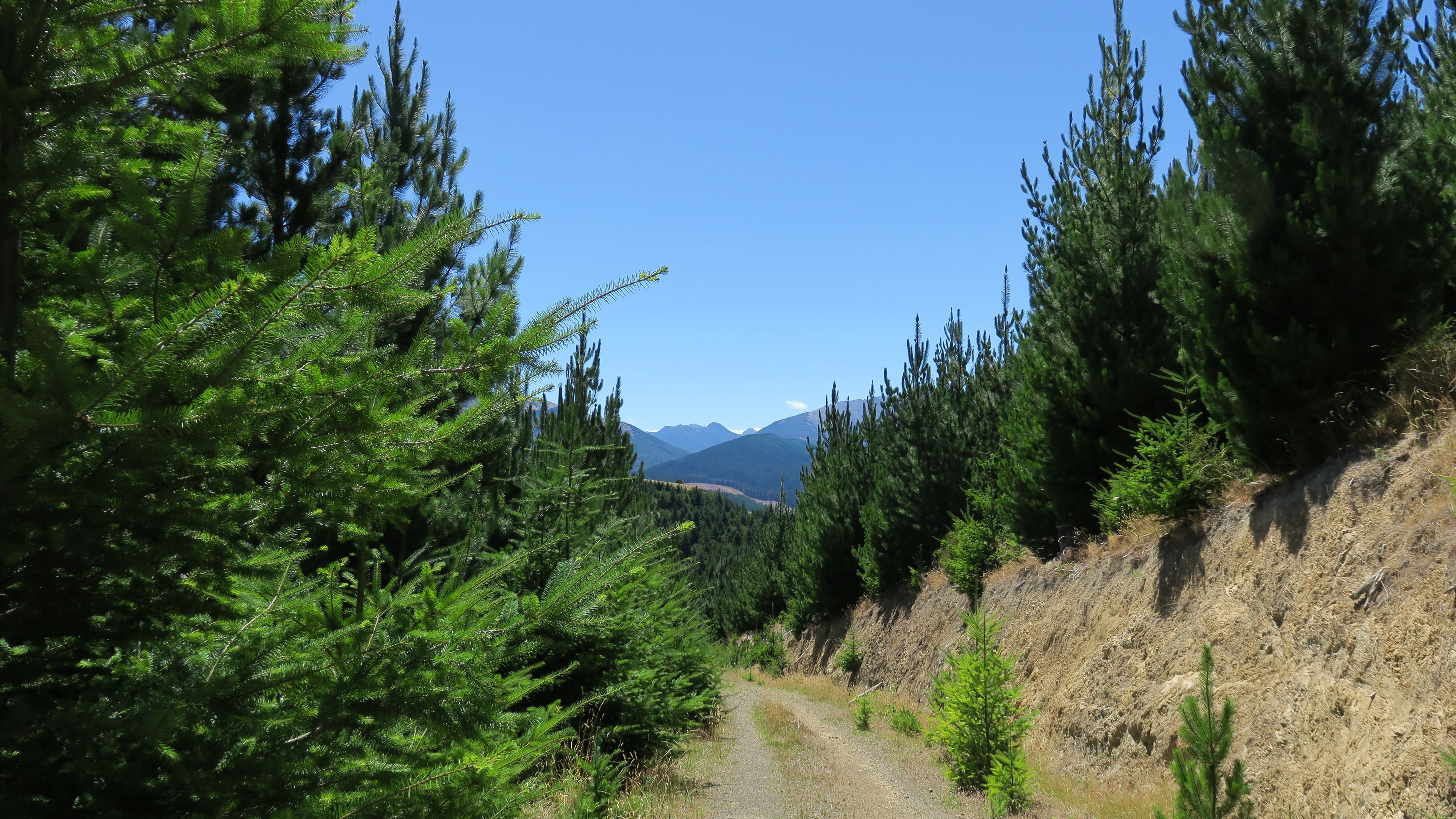 6555 State Highway 63, Wairau Valley, Marlborough District 7271 Rural