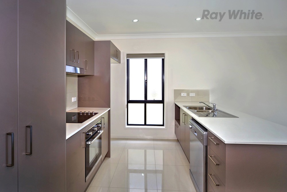 37 Solander Street, Pelican Waters, QLD 4551