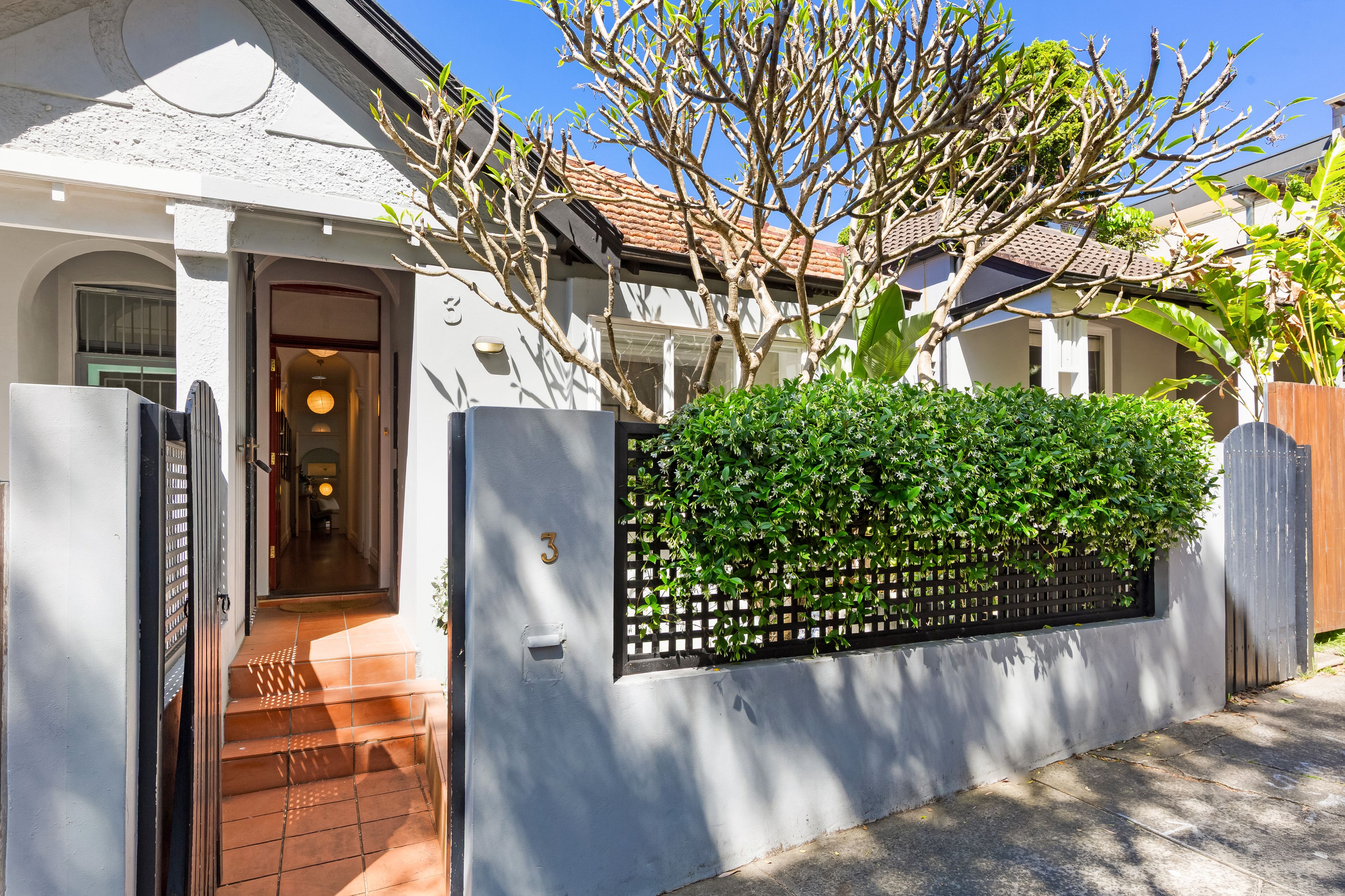 3 Orr Street, Bondi NSW 2026