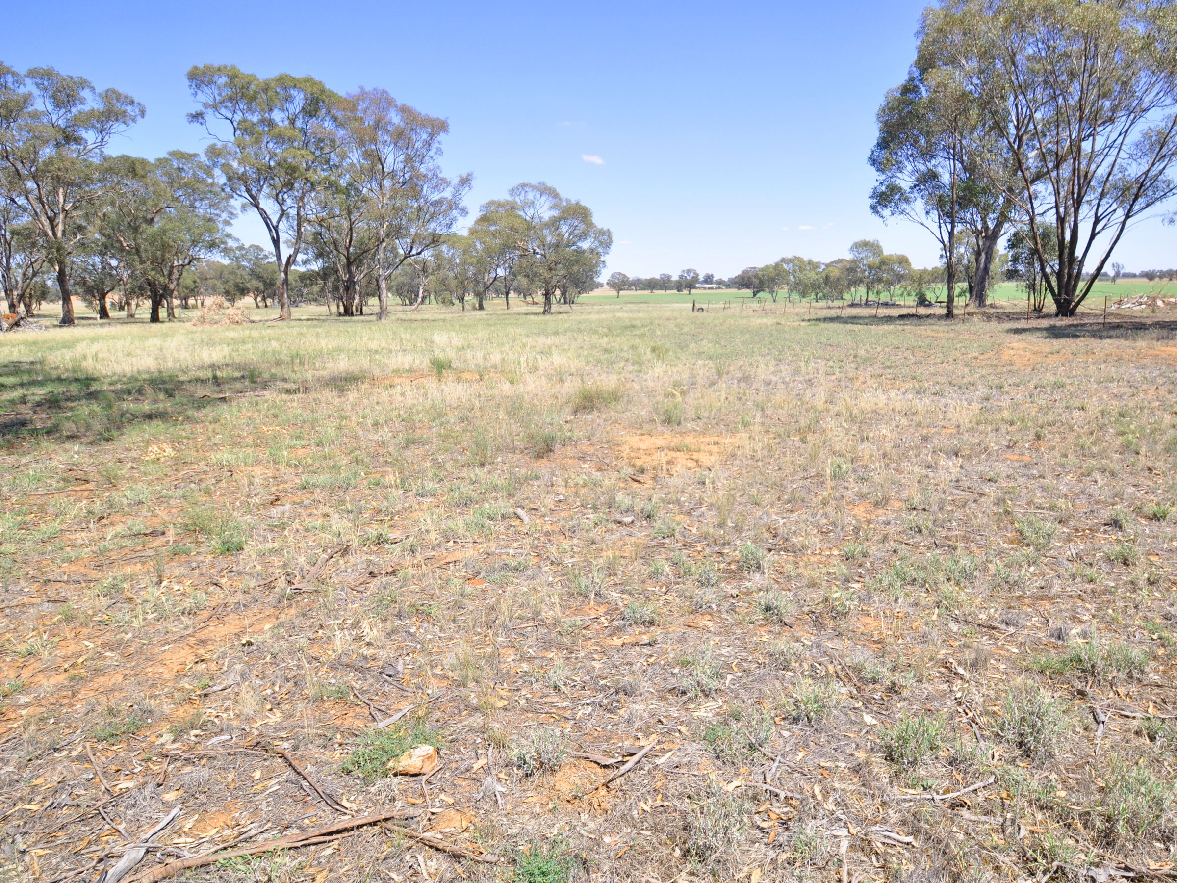 Lots 4 & 5 Layton Street, Illabo, NSW 2590