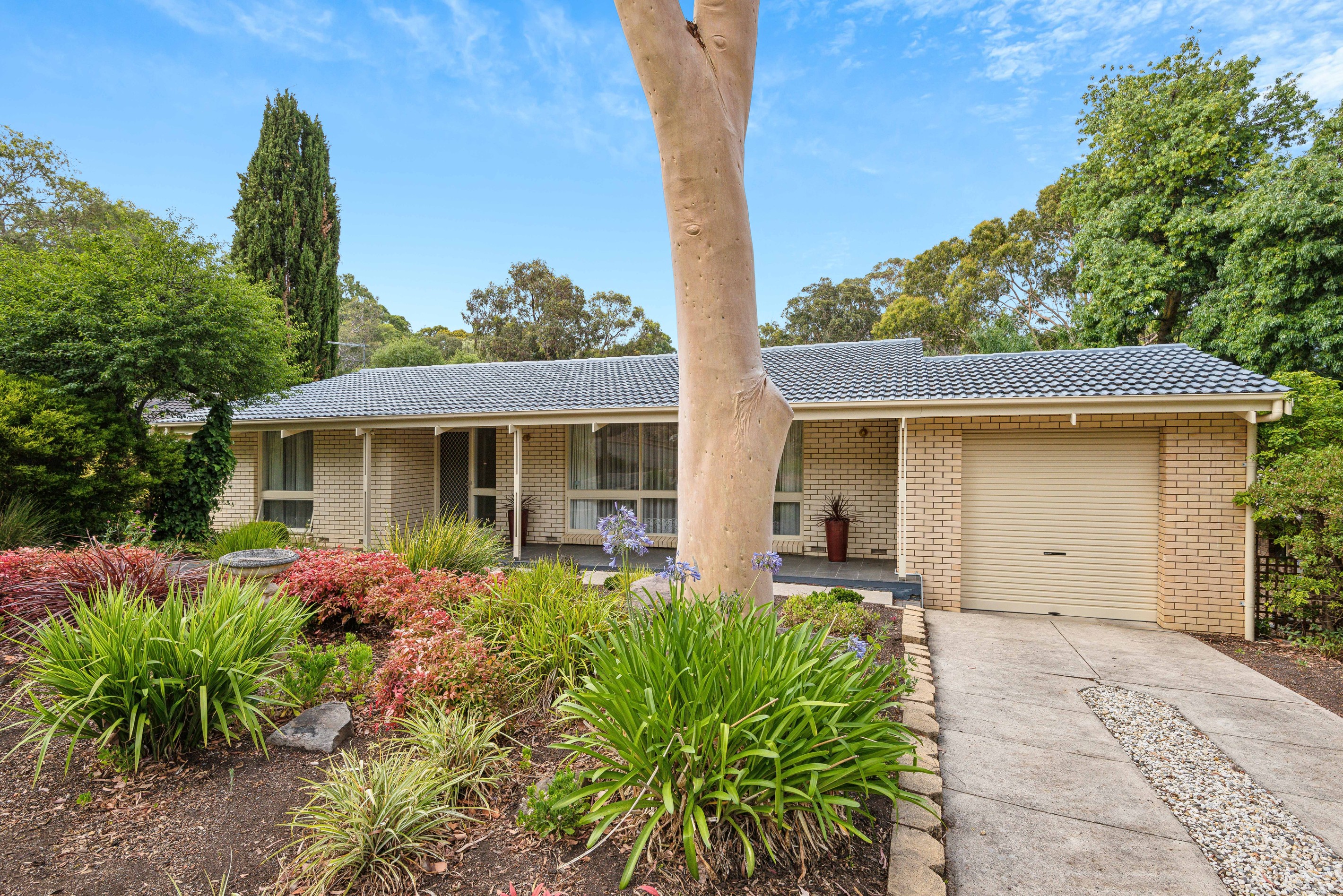 44 Alison Drive, Happy Valley, SA 5159