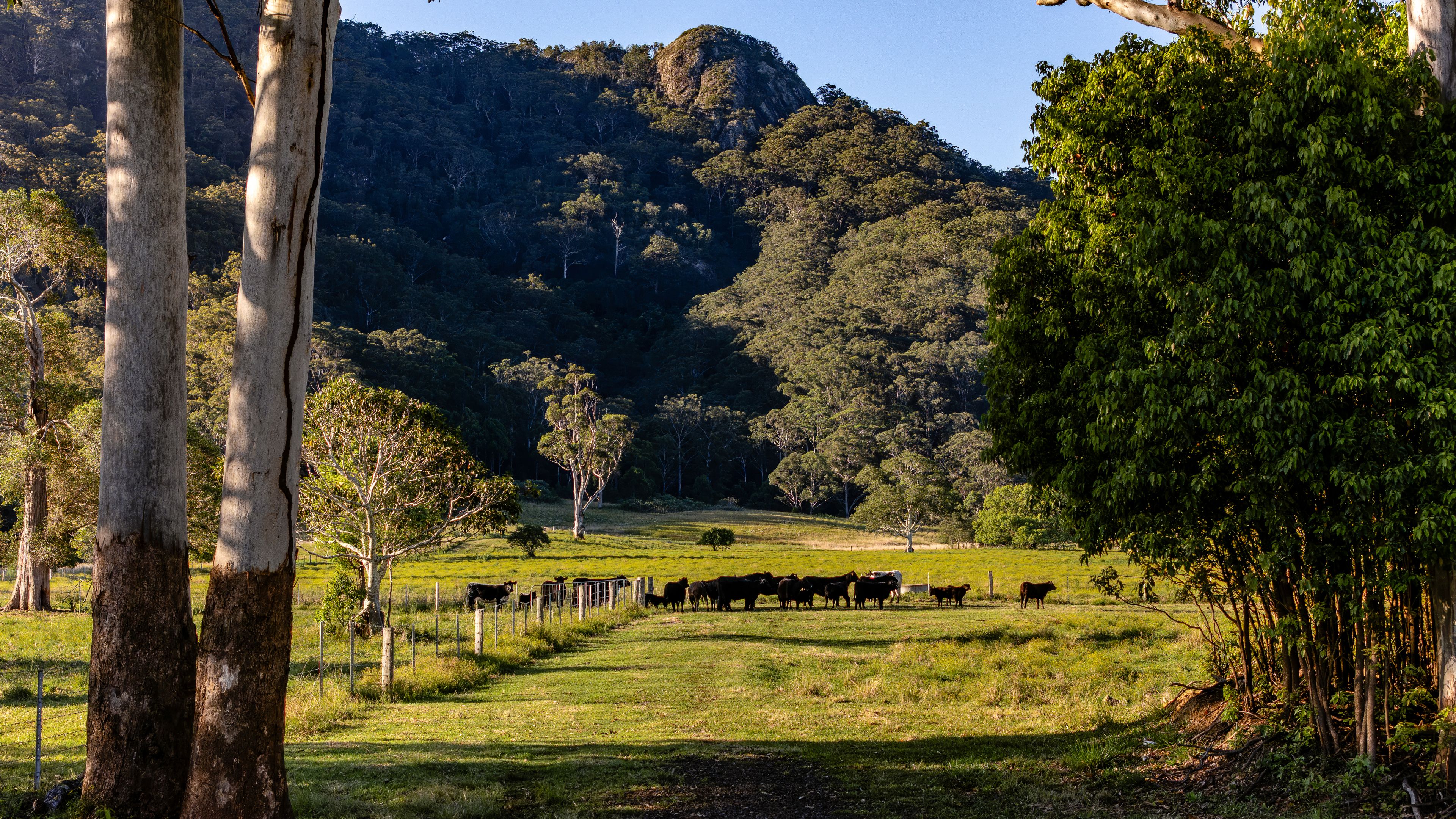 27 Riddles Brush Road, Moorland, NSW 2443