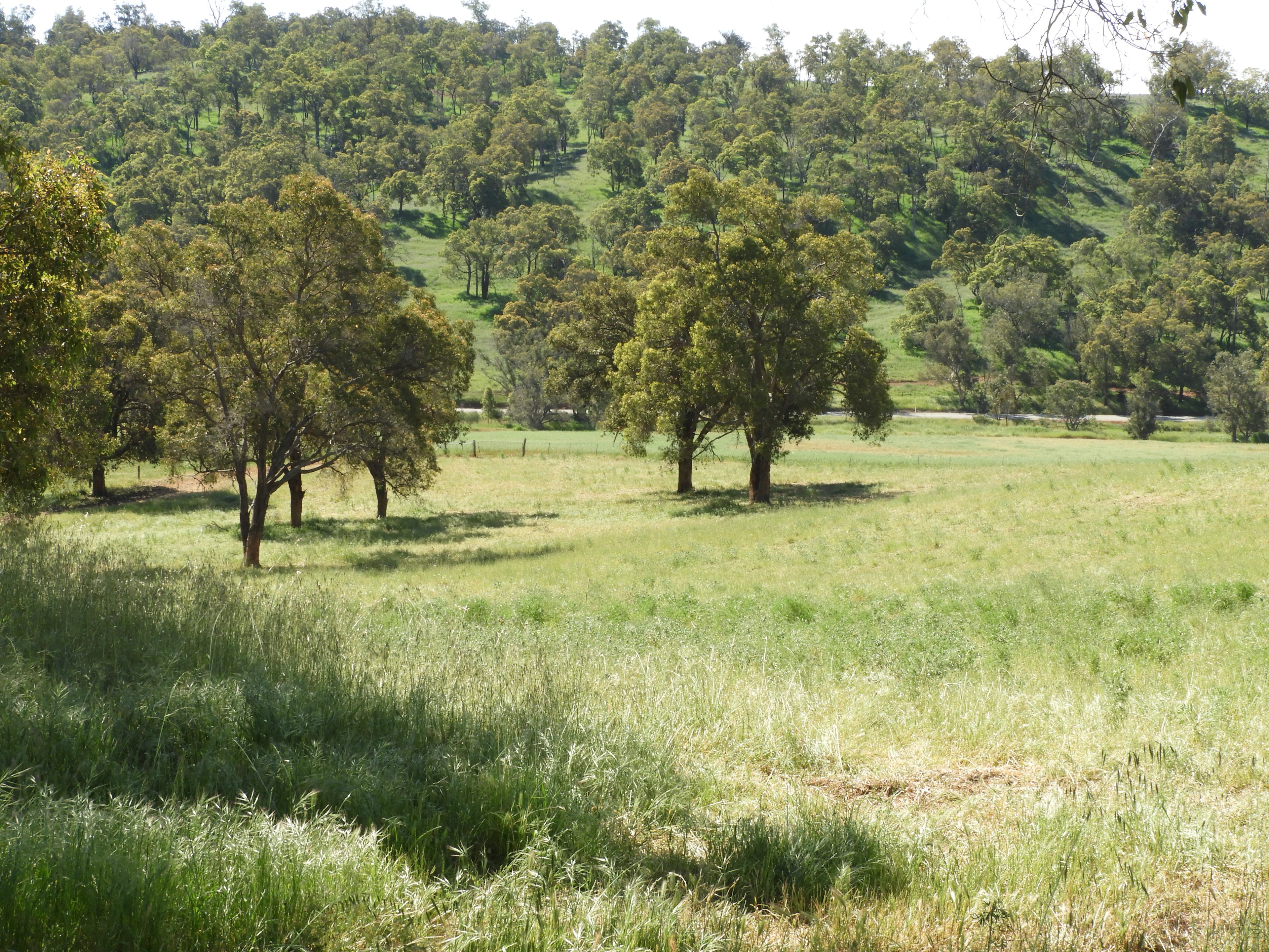 Lot 713 Chittering Rd Lower Chittering, Chittering, WA 6084 Sold