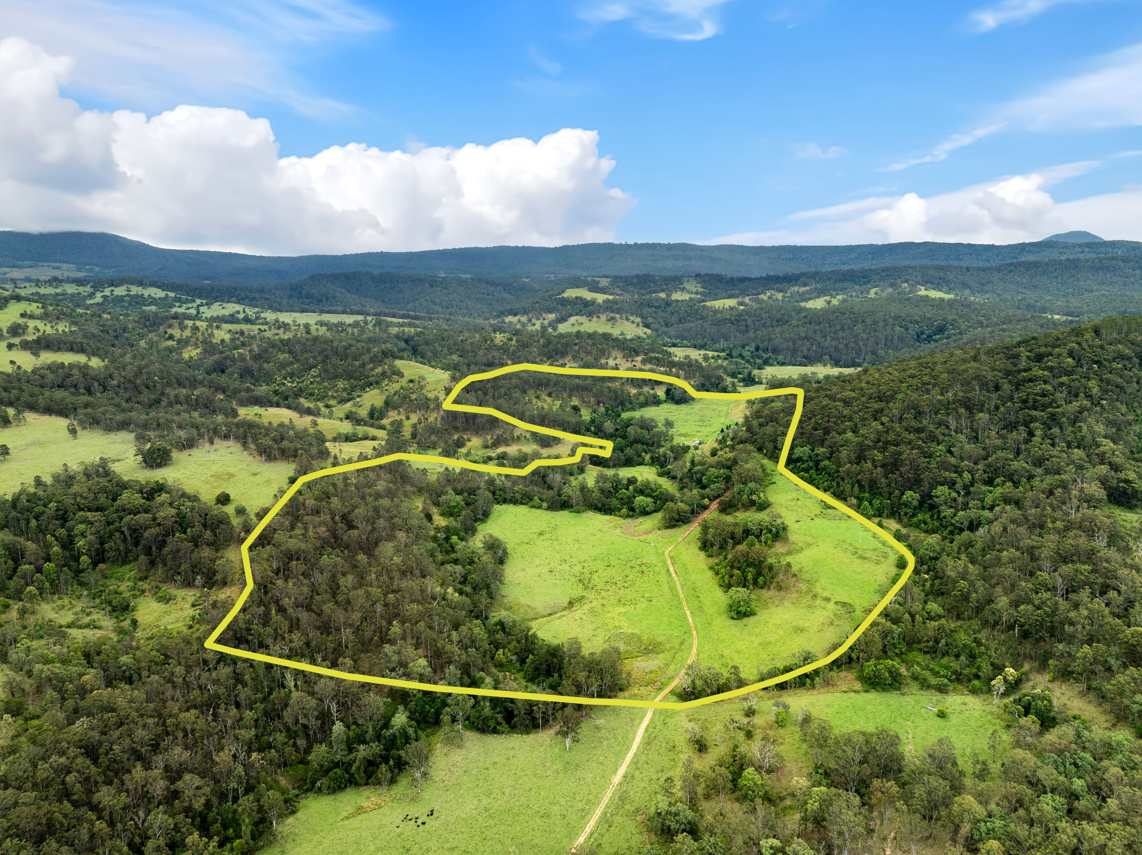 45 Murphys Road, Old Bonalbo, NSW 2469 Rural Property for Sale Ray