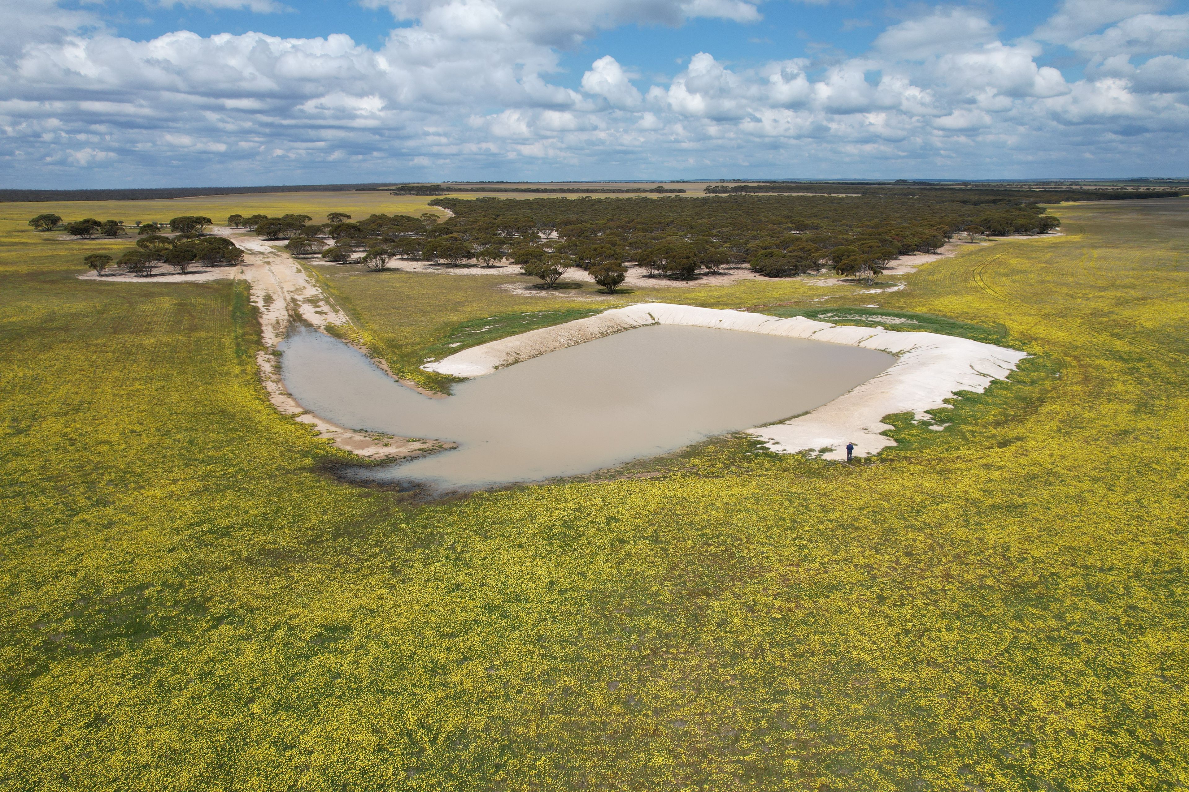 Watsons East, Canny Road, Lake King, WA 6356 Sold Rural Mixed Farming