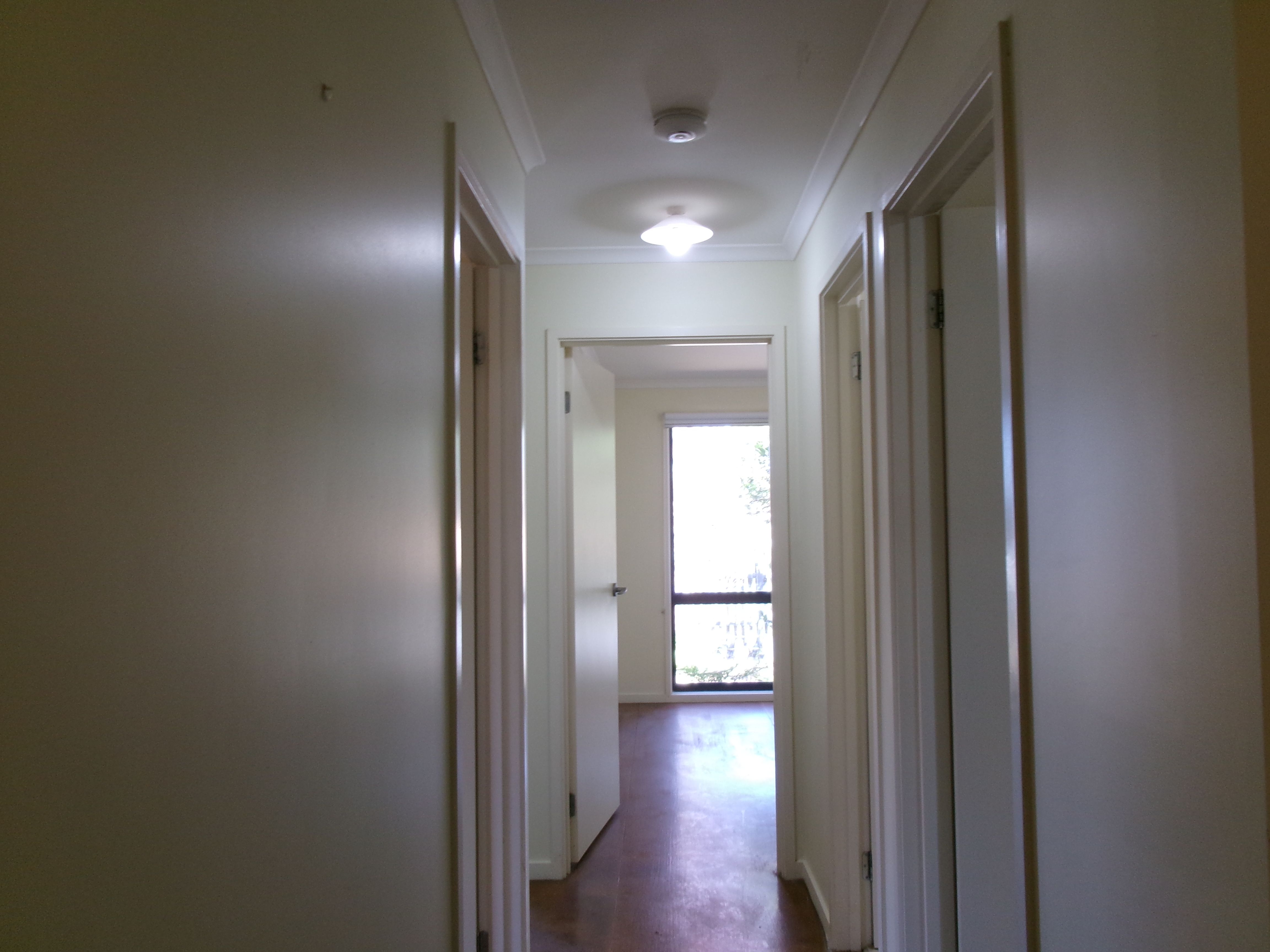 19 Gemma Street, Sunderland Bay, VIC 3922