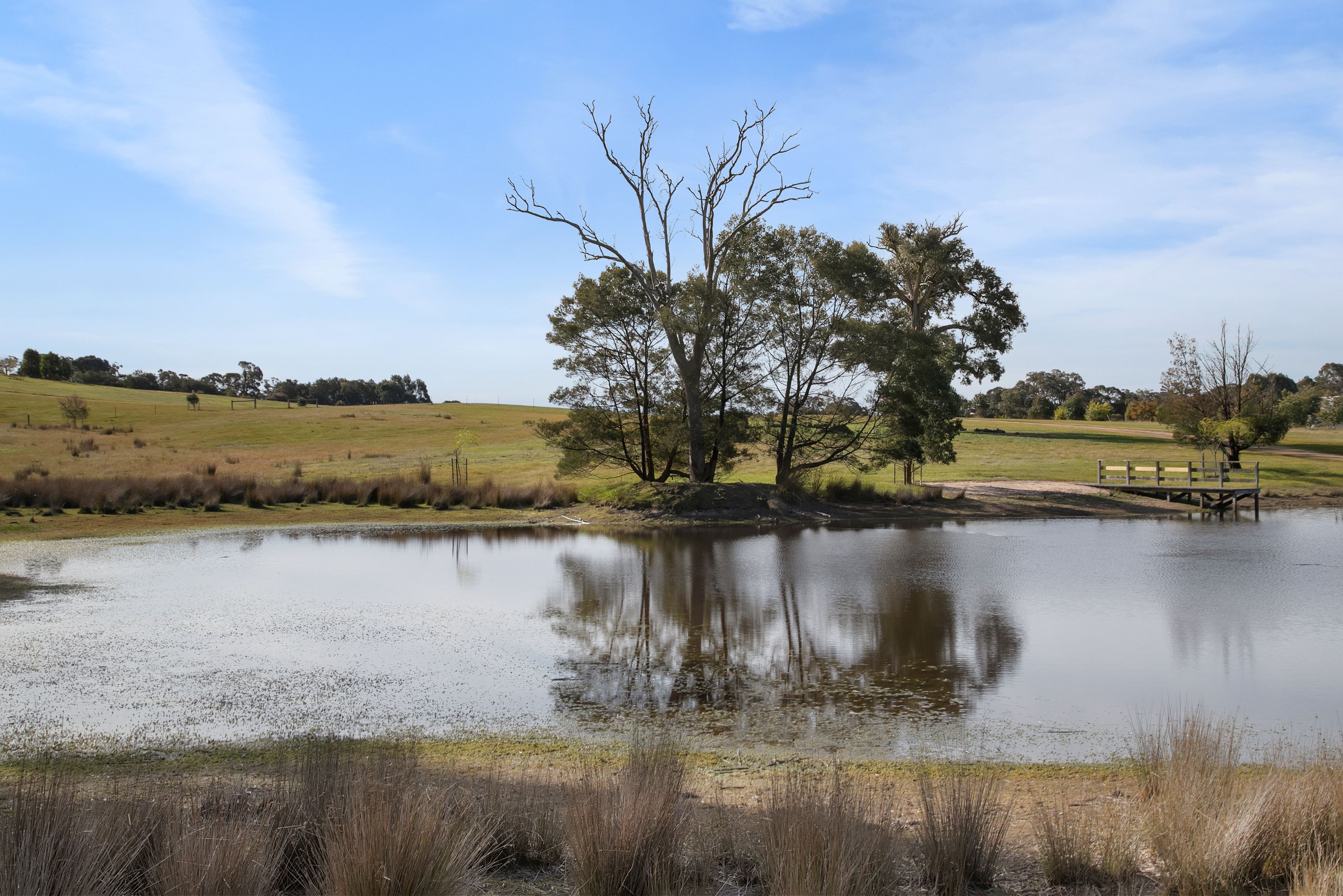 132 Rifle Butts Road, Beaufort, VIC 3373