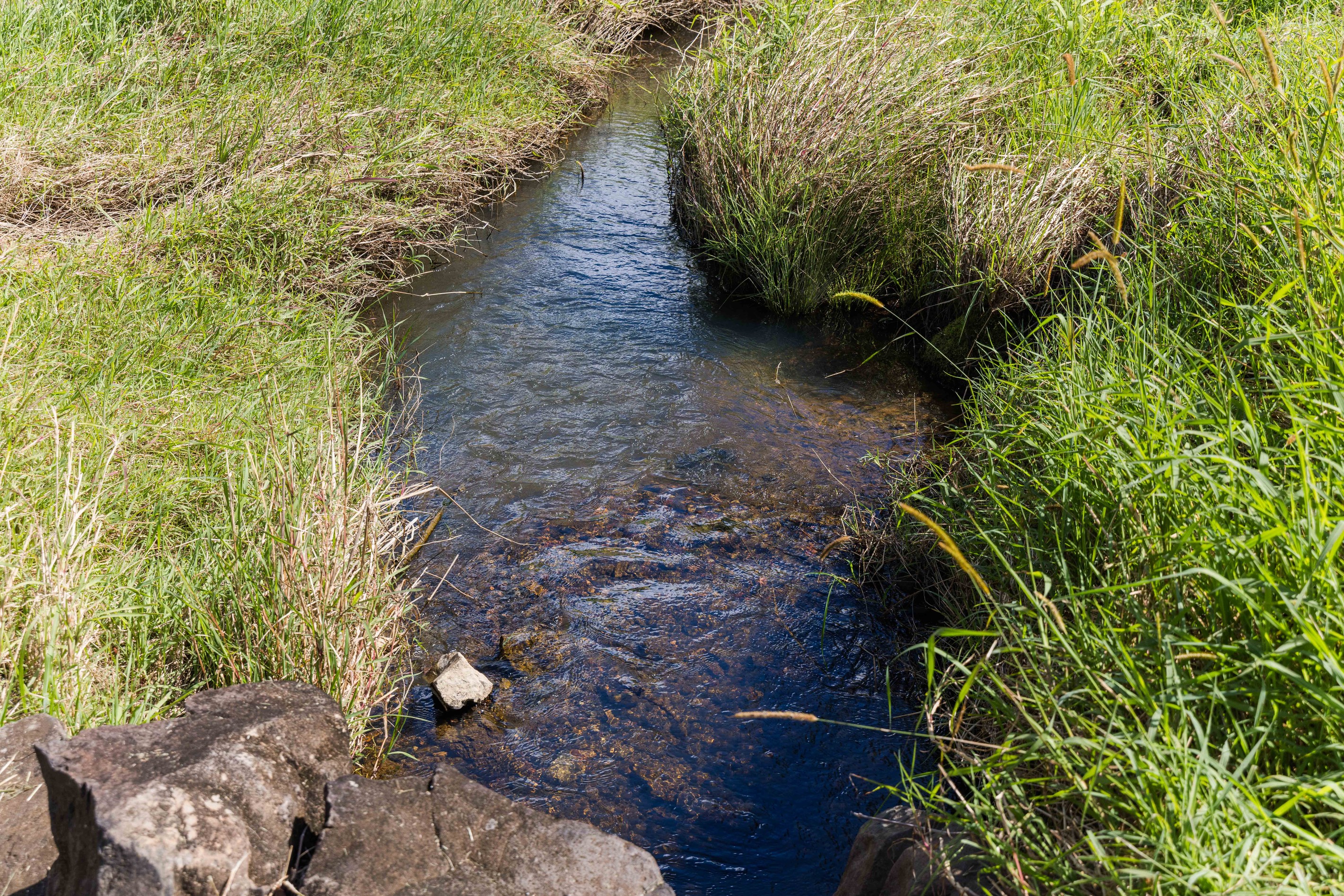 Cootharaba, QLD 4565