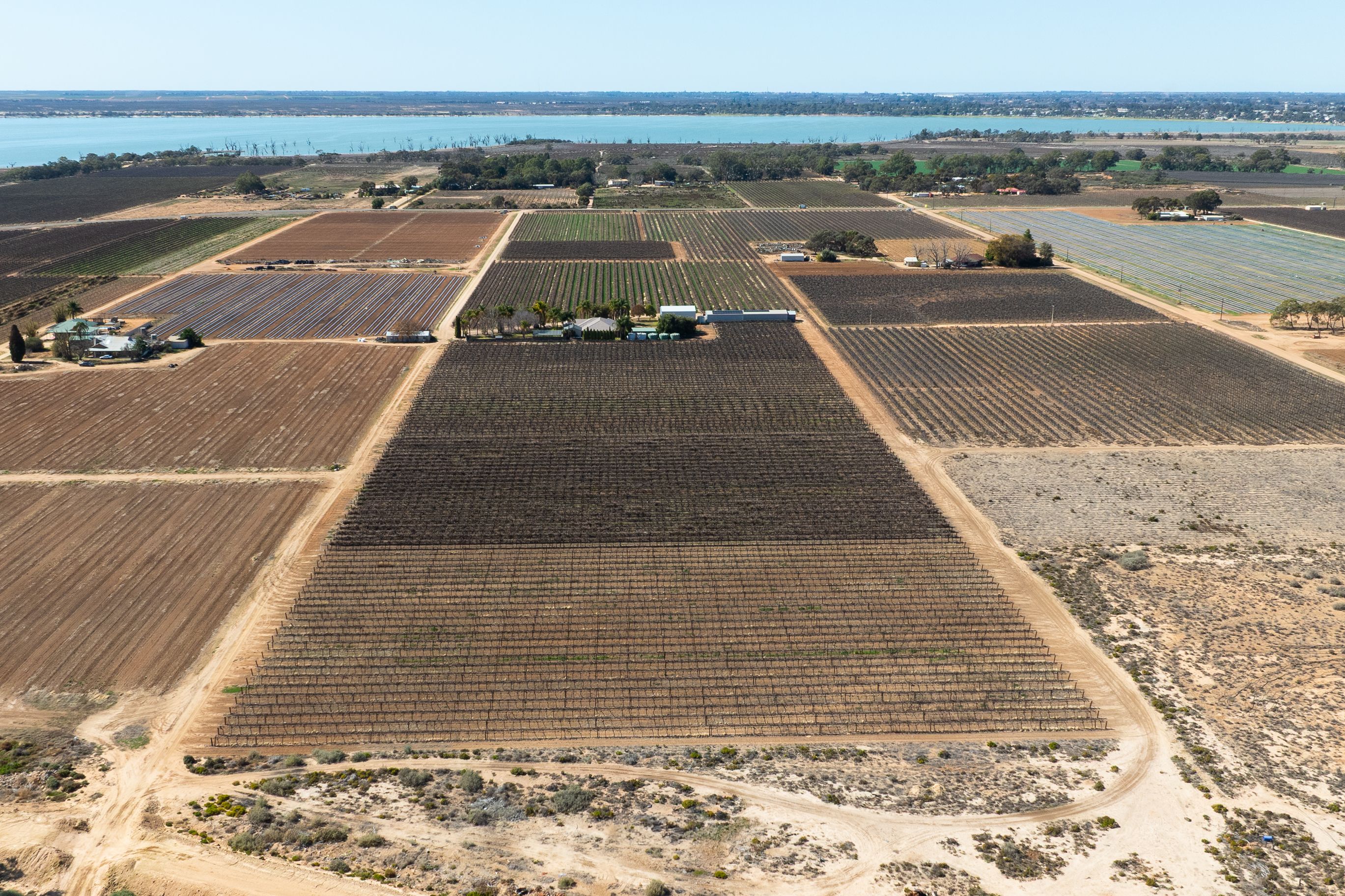 229 Morgan Road, Cobdogla, SA 5346