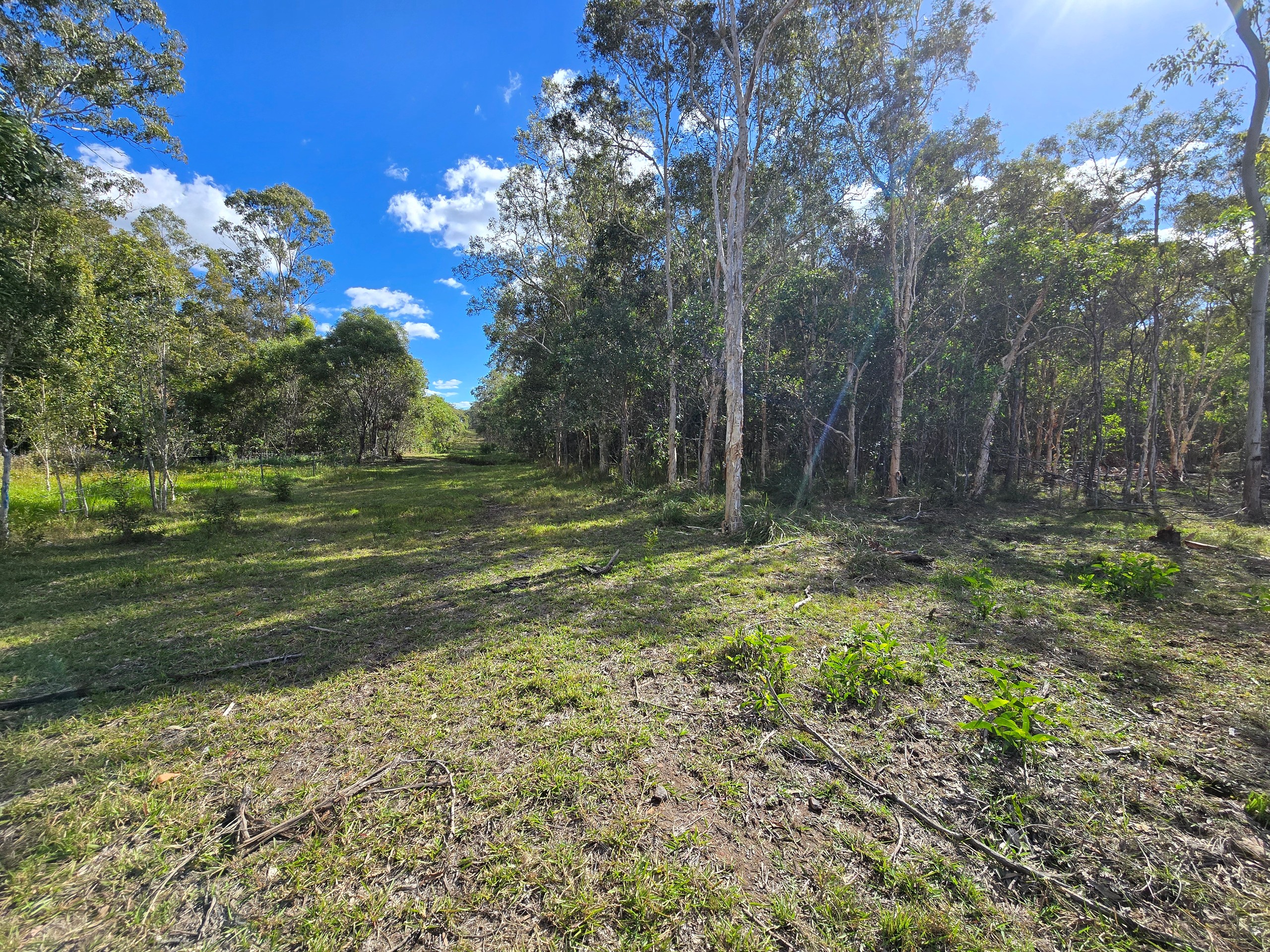 34 Coachmans Place, Oakhurst, QLD 4650