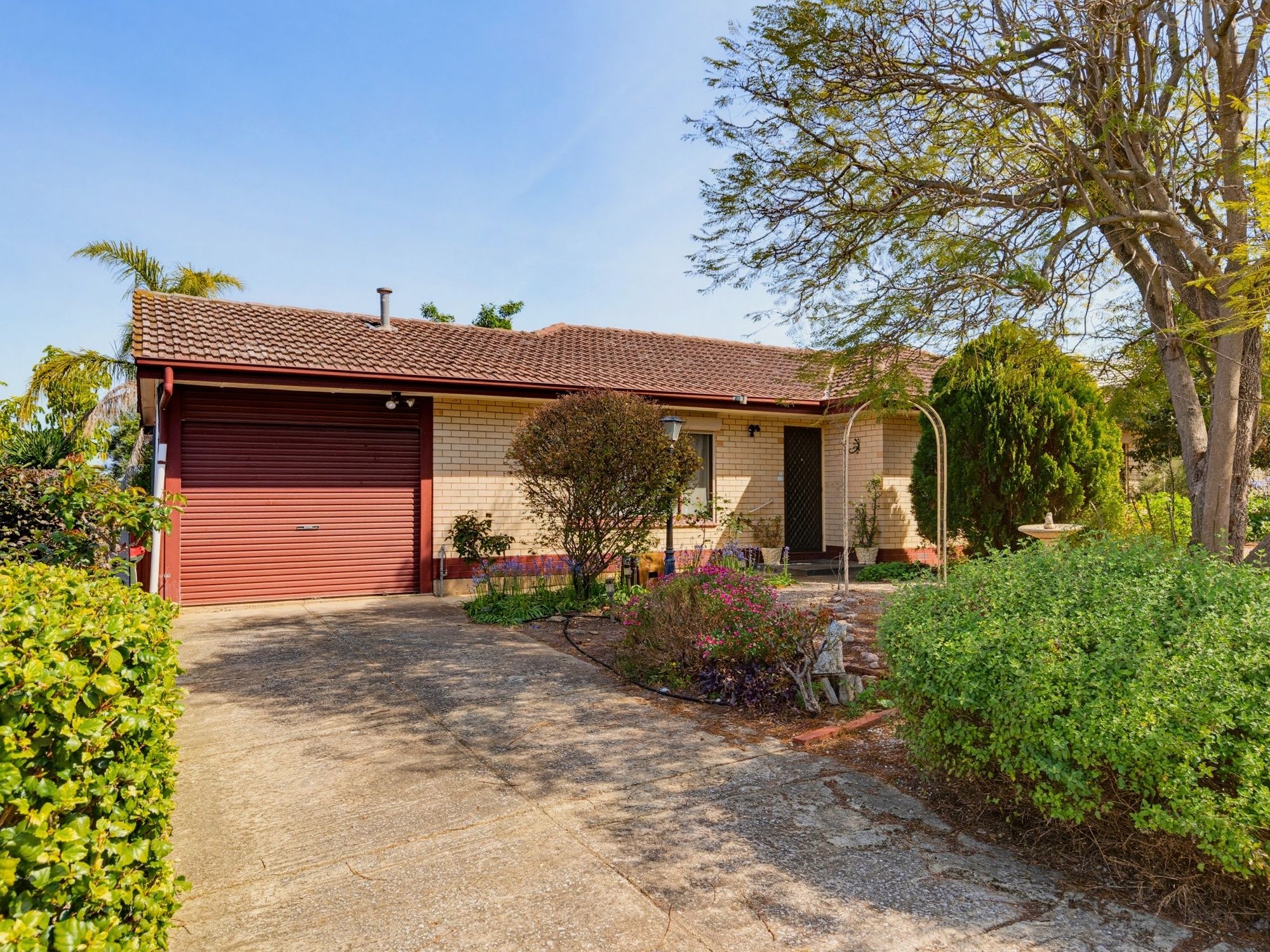 8 Hurley Grove — photo from Ray White Morphett Vale