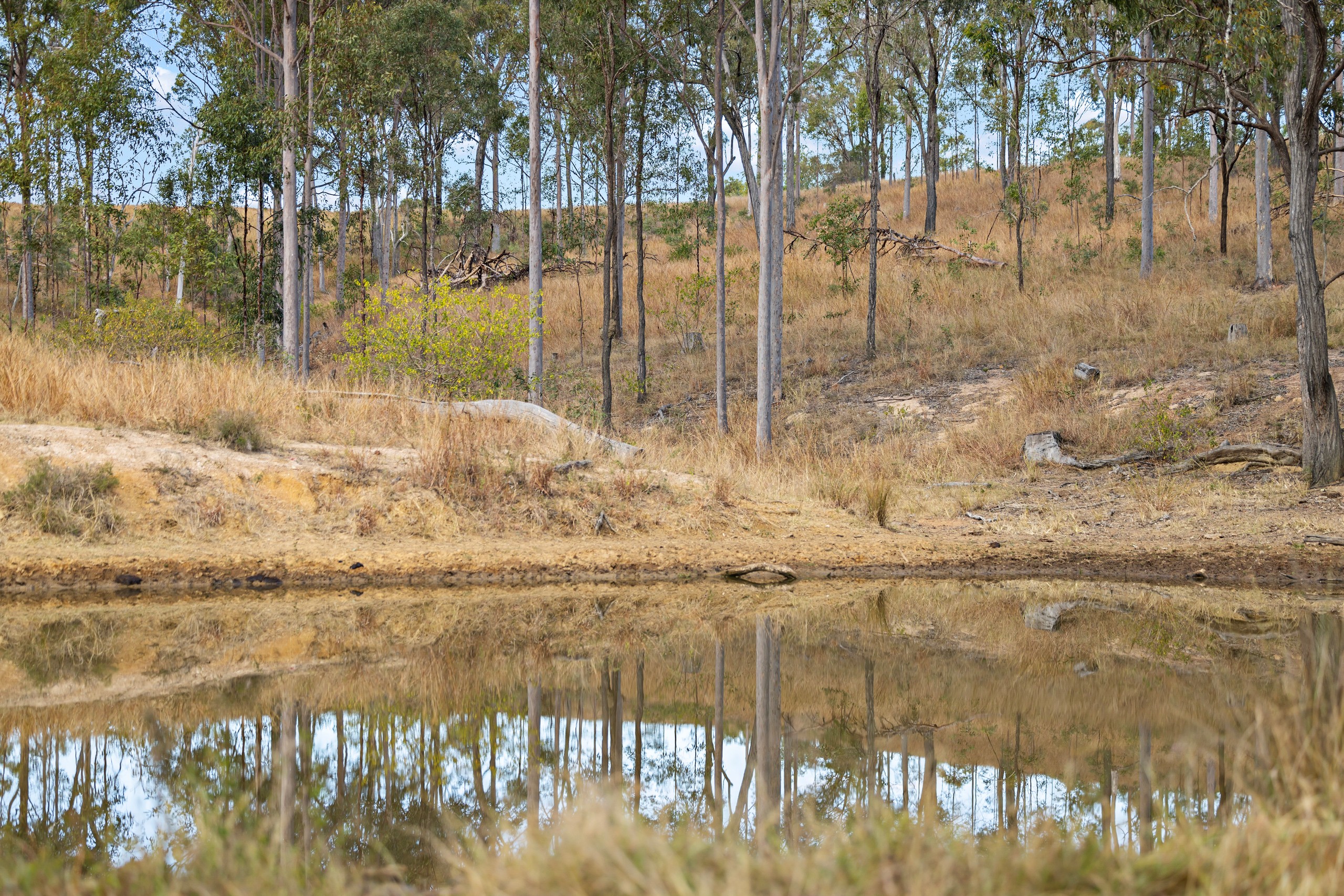 Lot 91 222 Tooloorum Road, Bryden, QLD 4312