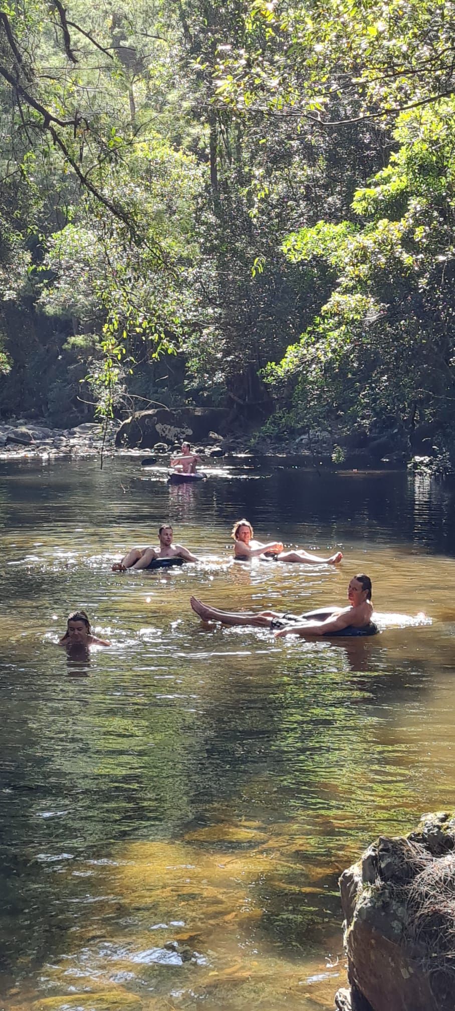 Jingella Estate 368A Bunkers Hill Road — photo 27 of 30