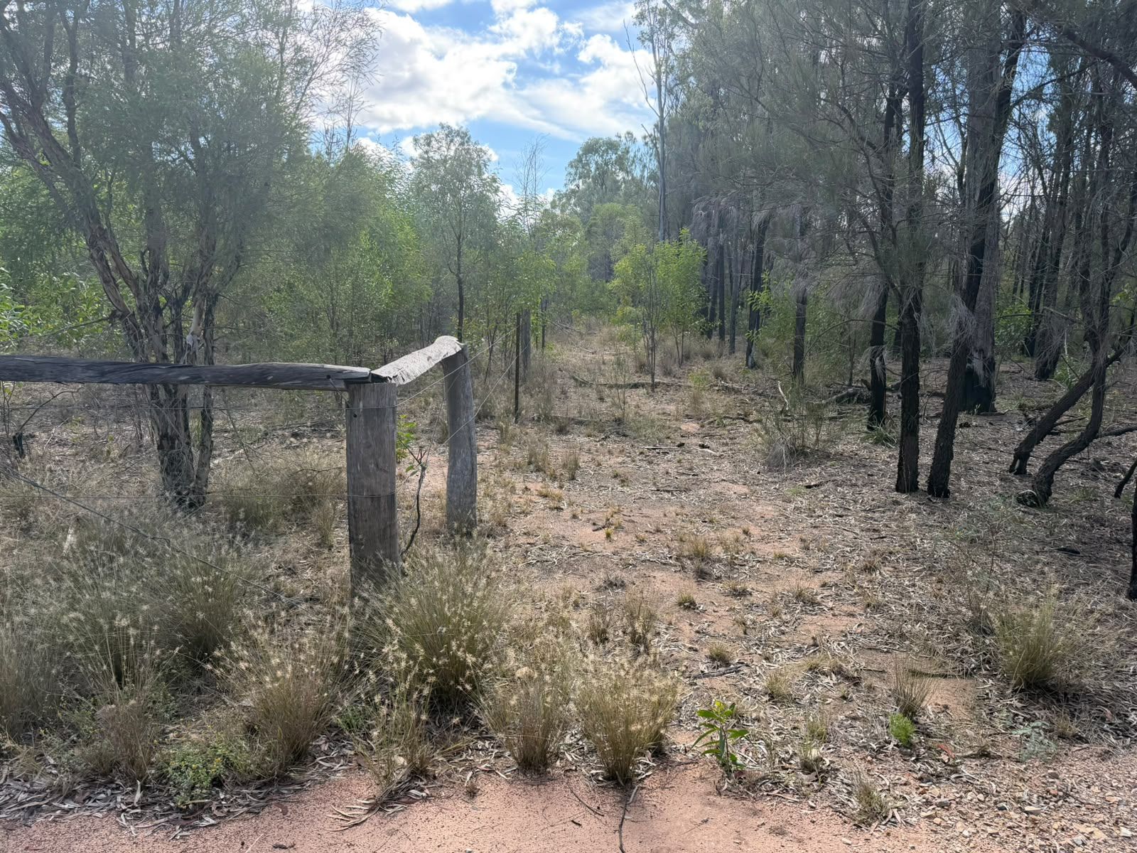 79 Butterfly Road — photo 13 of 14