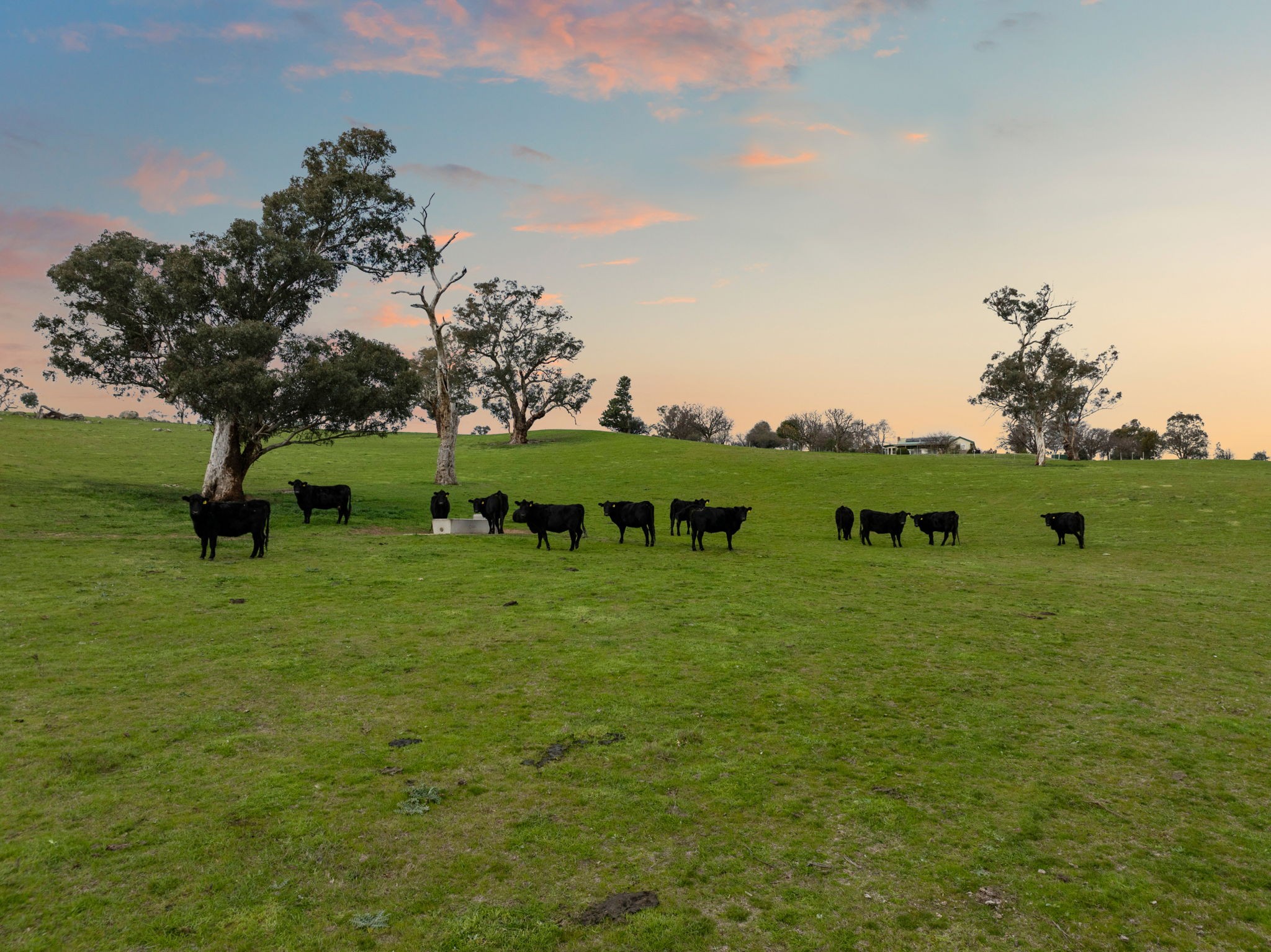 597 Garratt Road, Jugiong, NSW 2726