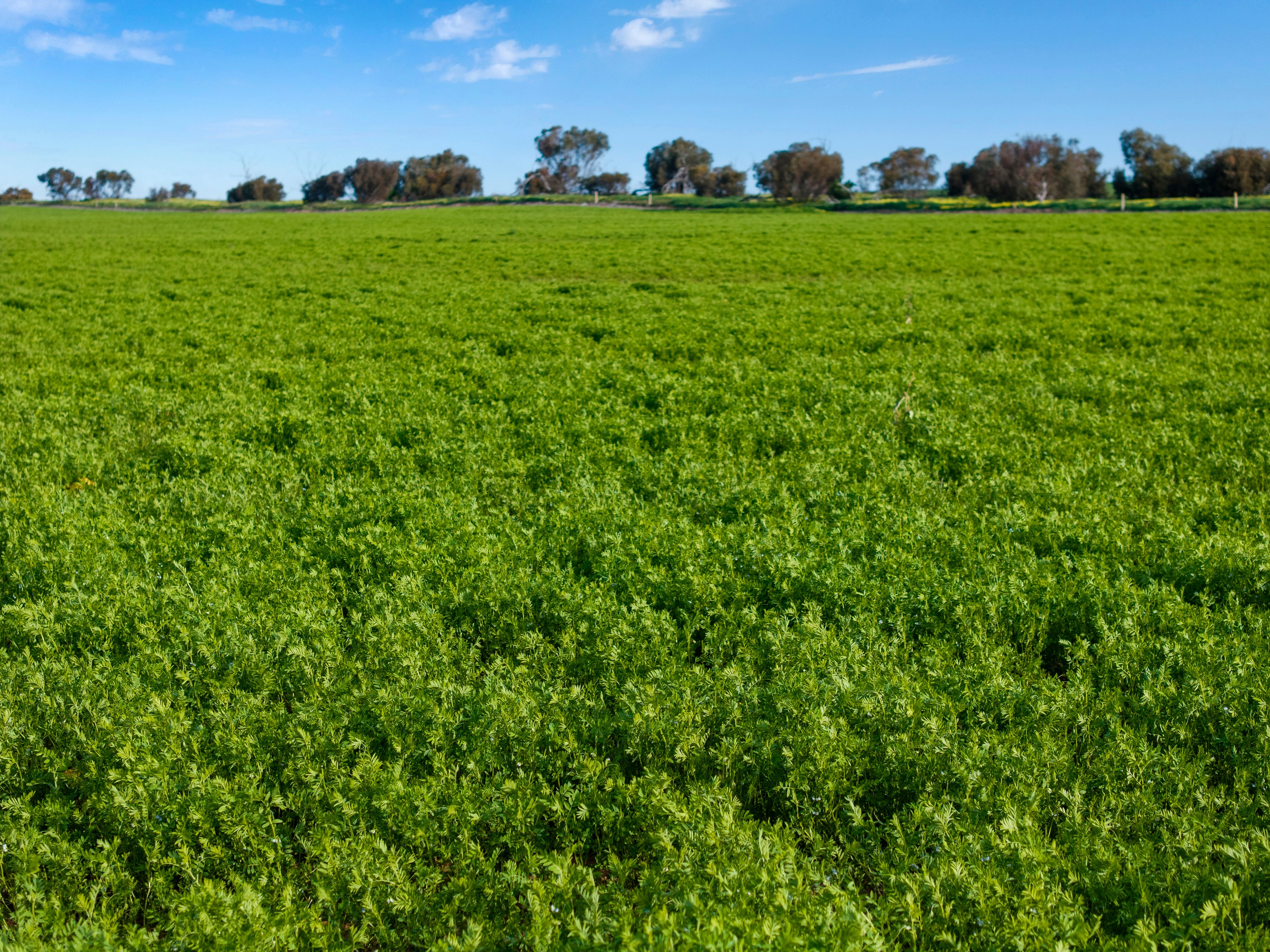 'London's' Slaughterhouse Road, Hamley Bridge, SA 5401
