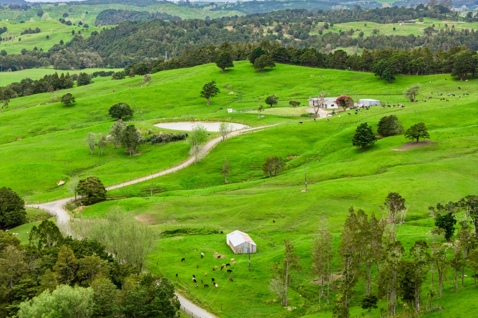 1070 Tangihua Road, Maungakaramea, Whangarei District