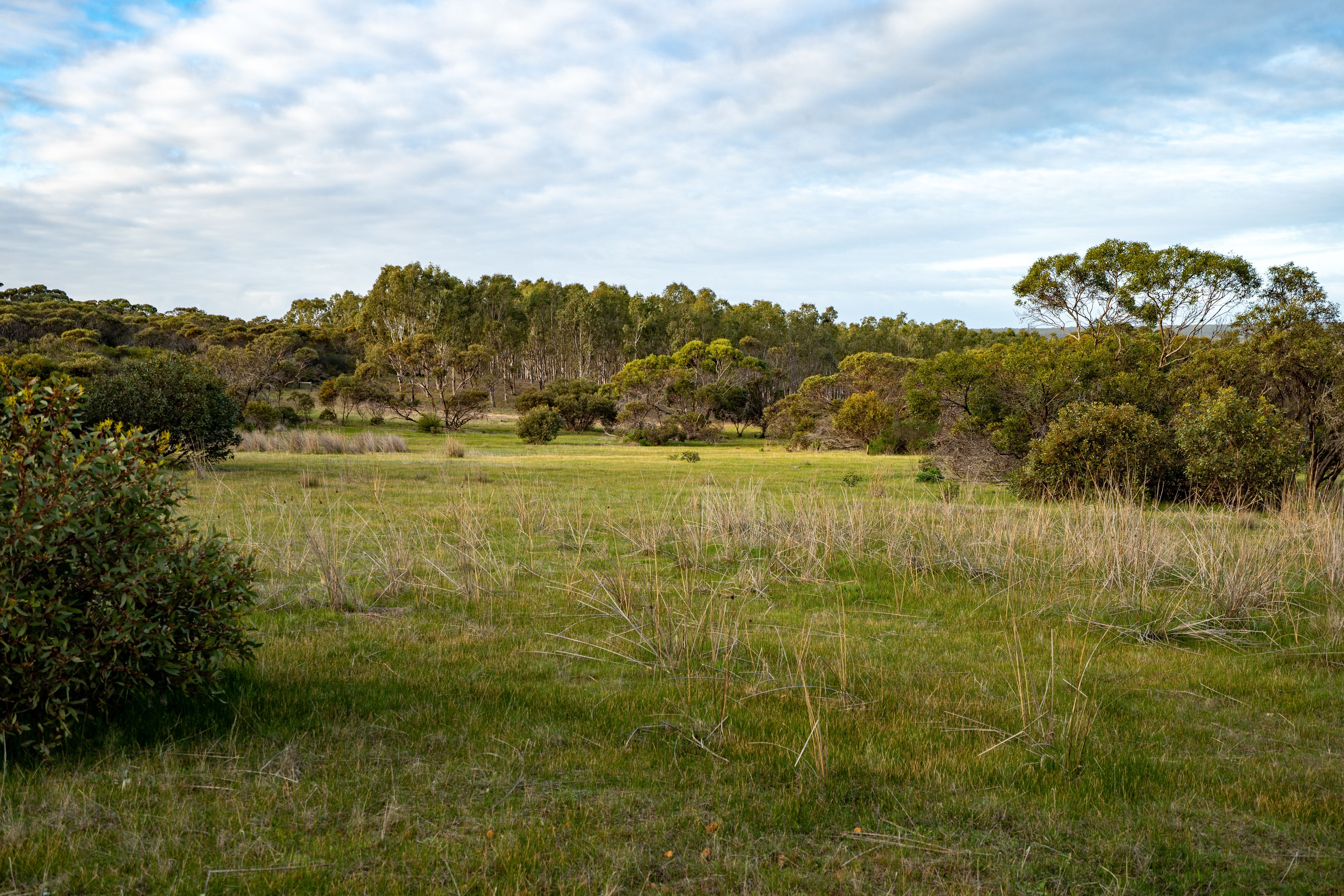 Lot 1895 Pallinup River Estate — photo 25 of 30