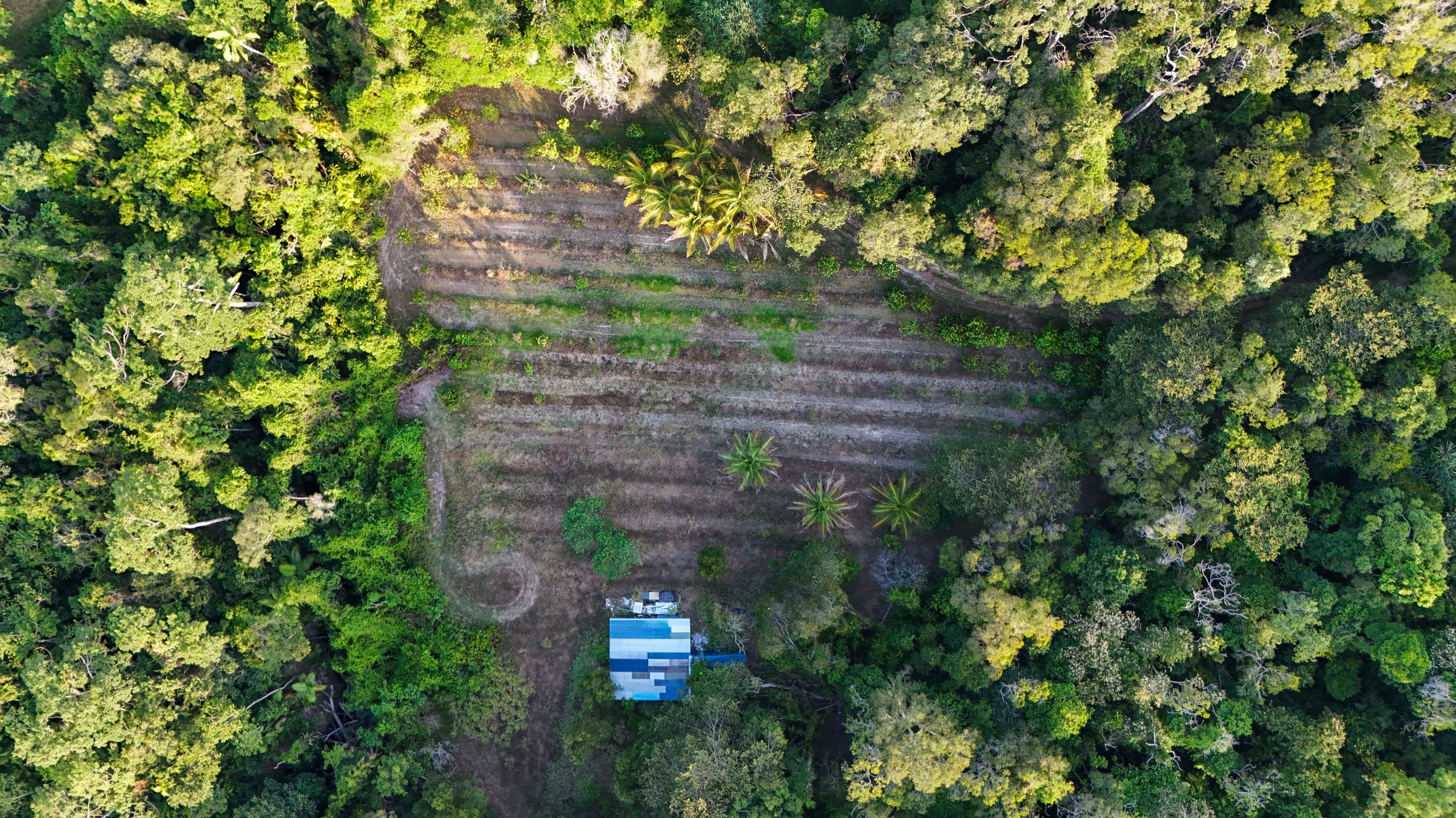 Create Your Idyllic Lifestyle to Include Future Potential Income on 342 acres — photo 9 of 30