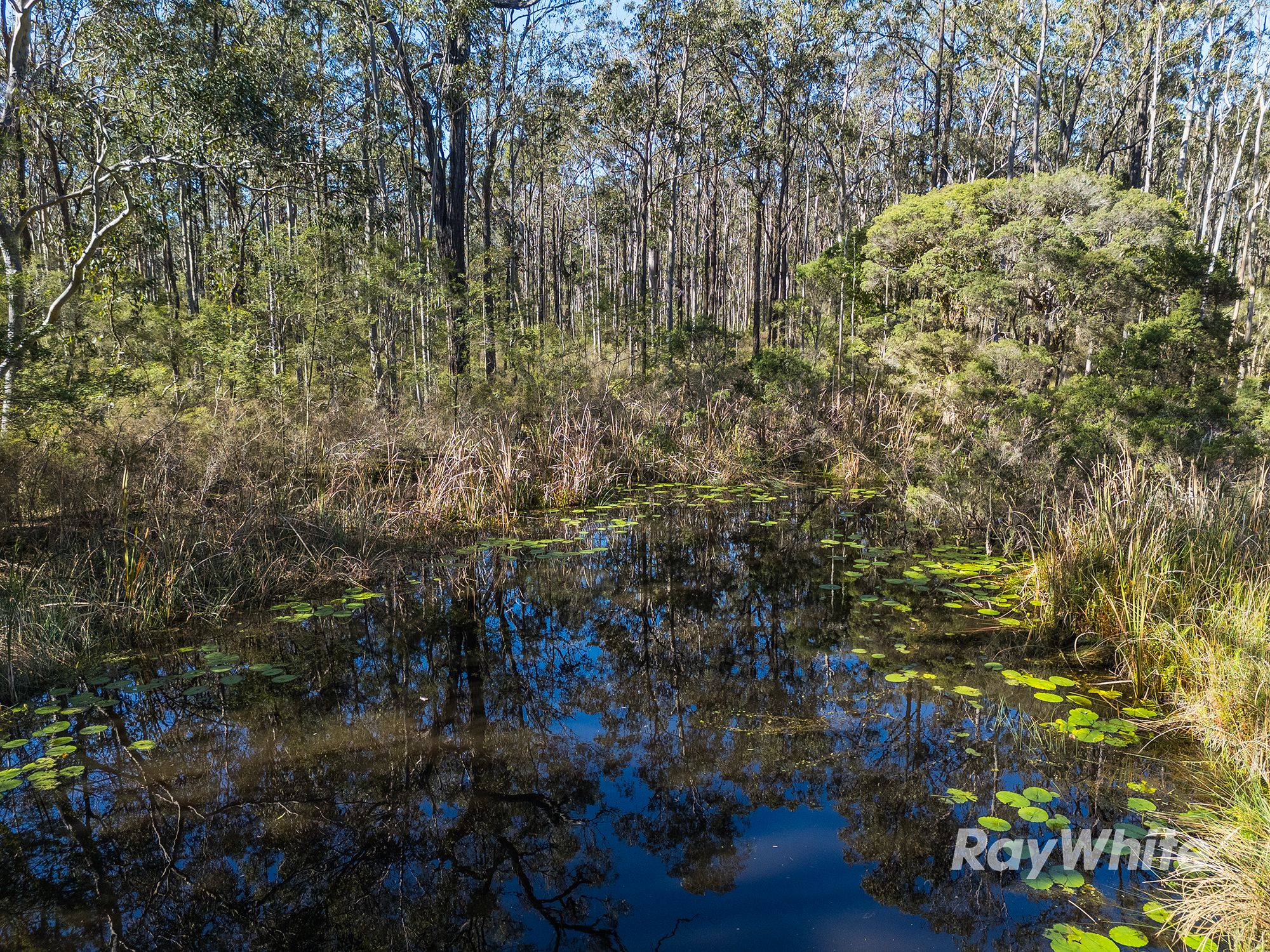 972 Limeburners Creek Road — photo 5 of 6