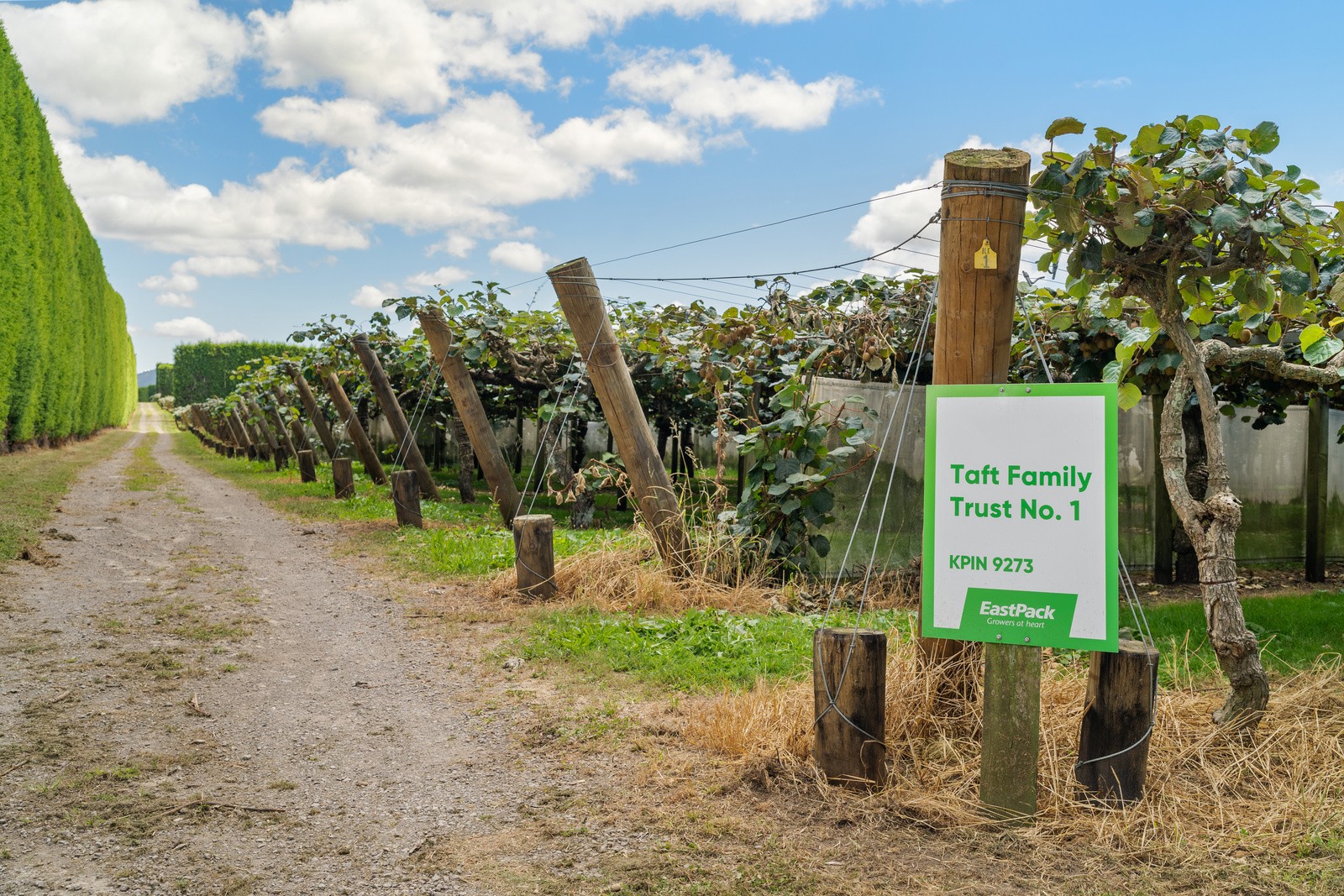 900 Te Matai Road, Te Ranga, Western Bay Of Plenty District