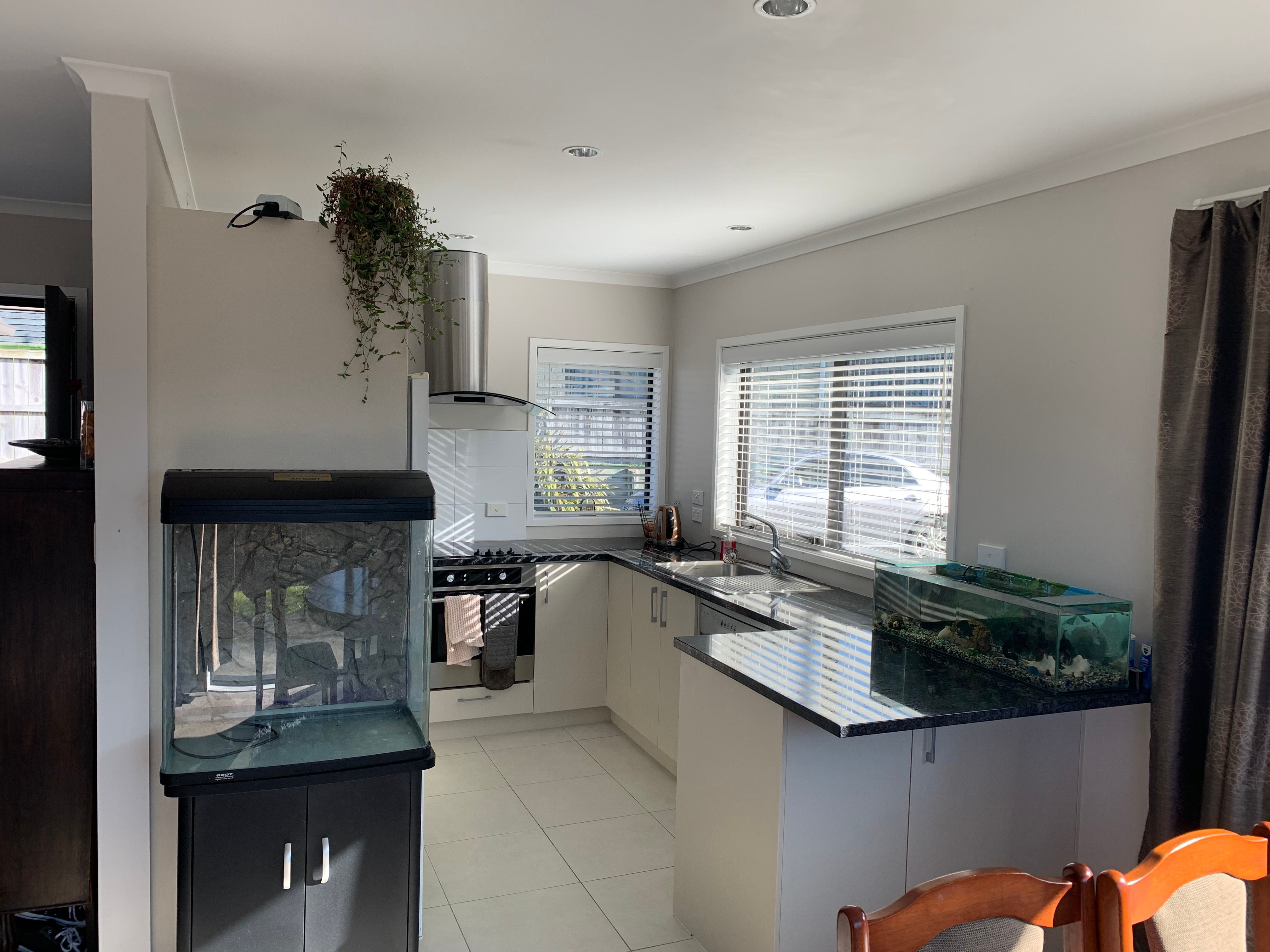 3a McGowan Rise, Tuakau, Franklin