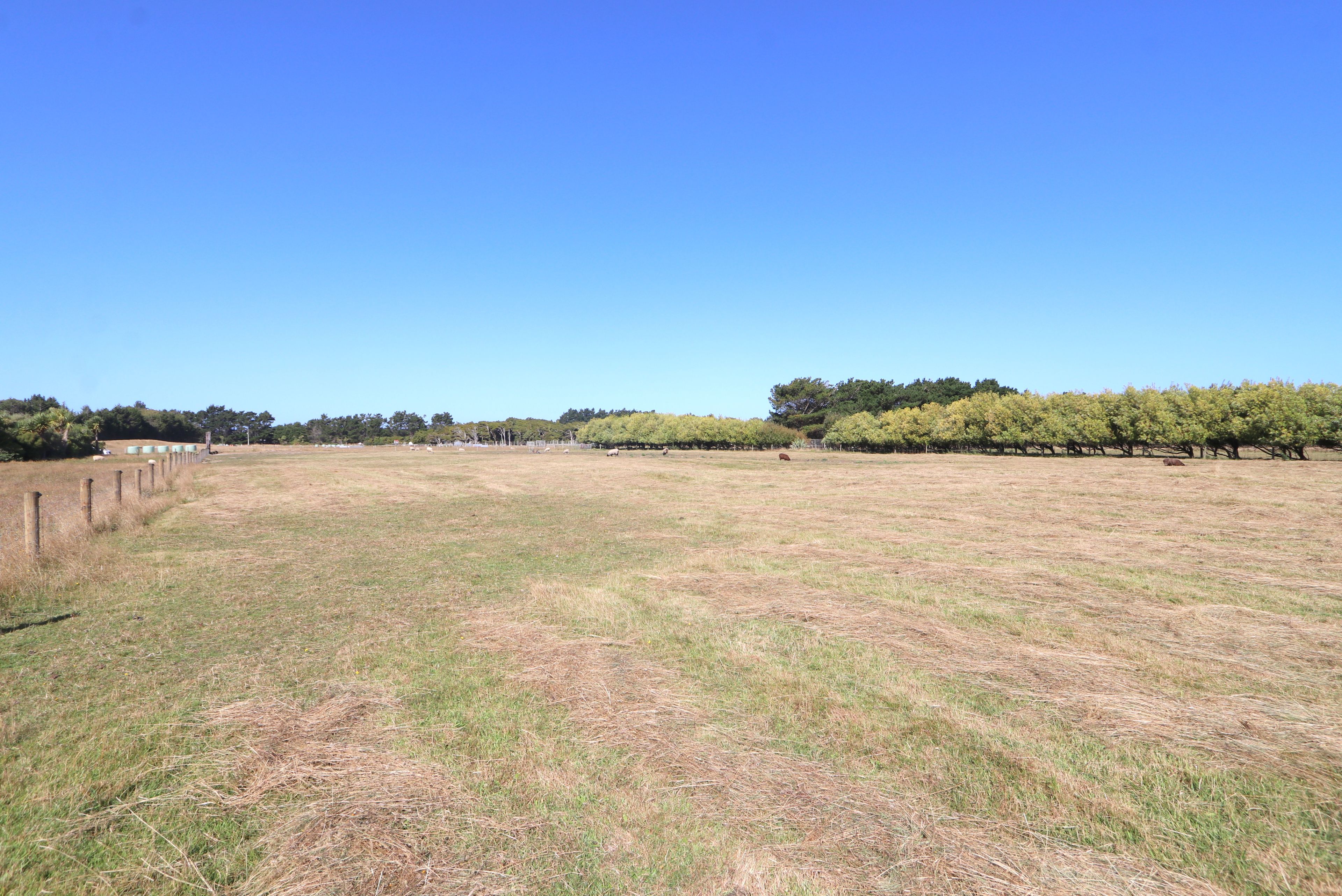 244 Oreti Road, Otatara, Invercargill