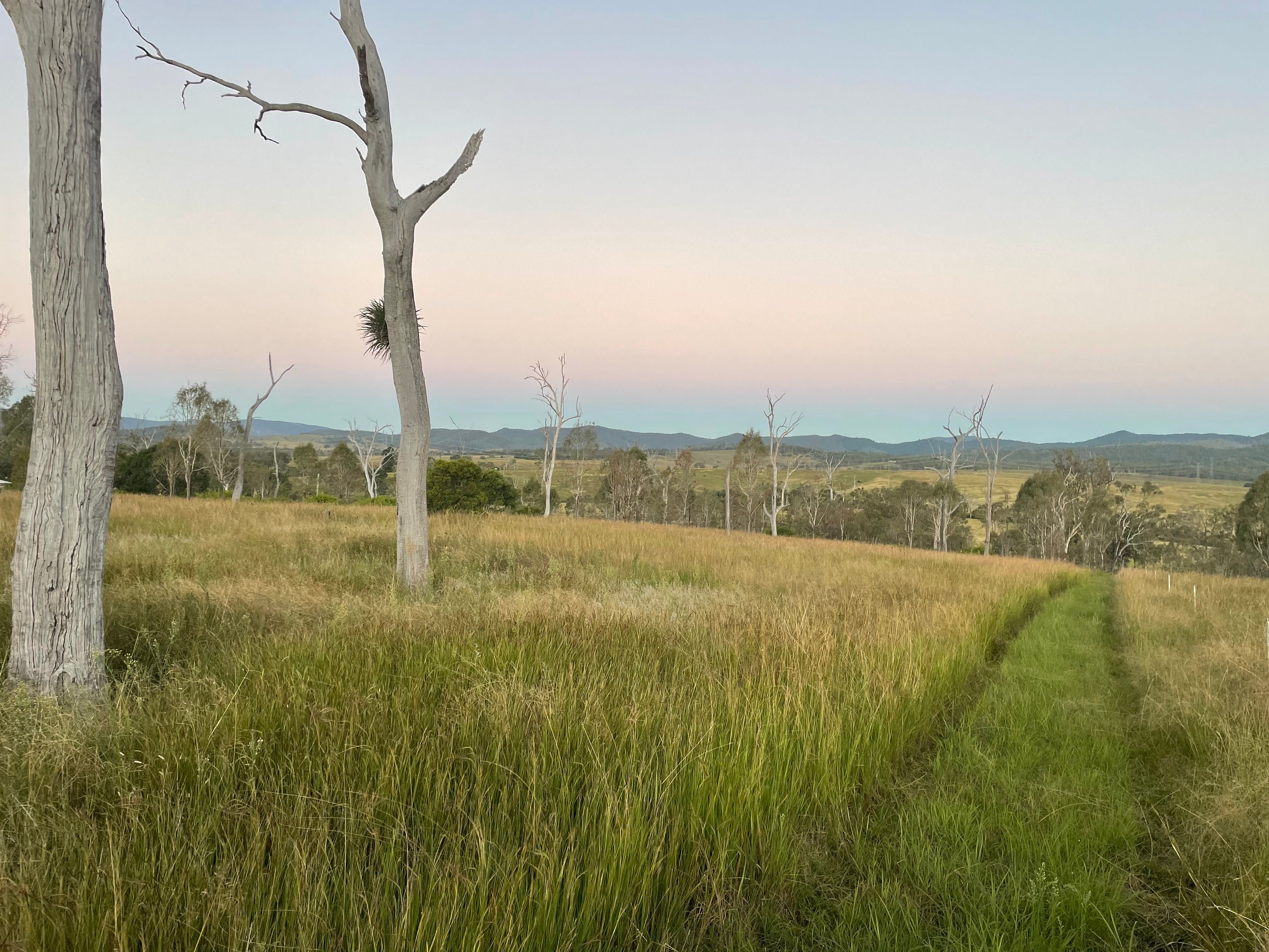 2947 Wivenhoe Somerset Road, Crossdale, QLD 4312 Land for Sale Ray