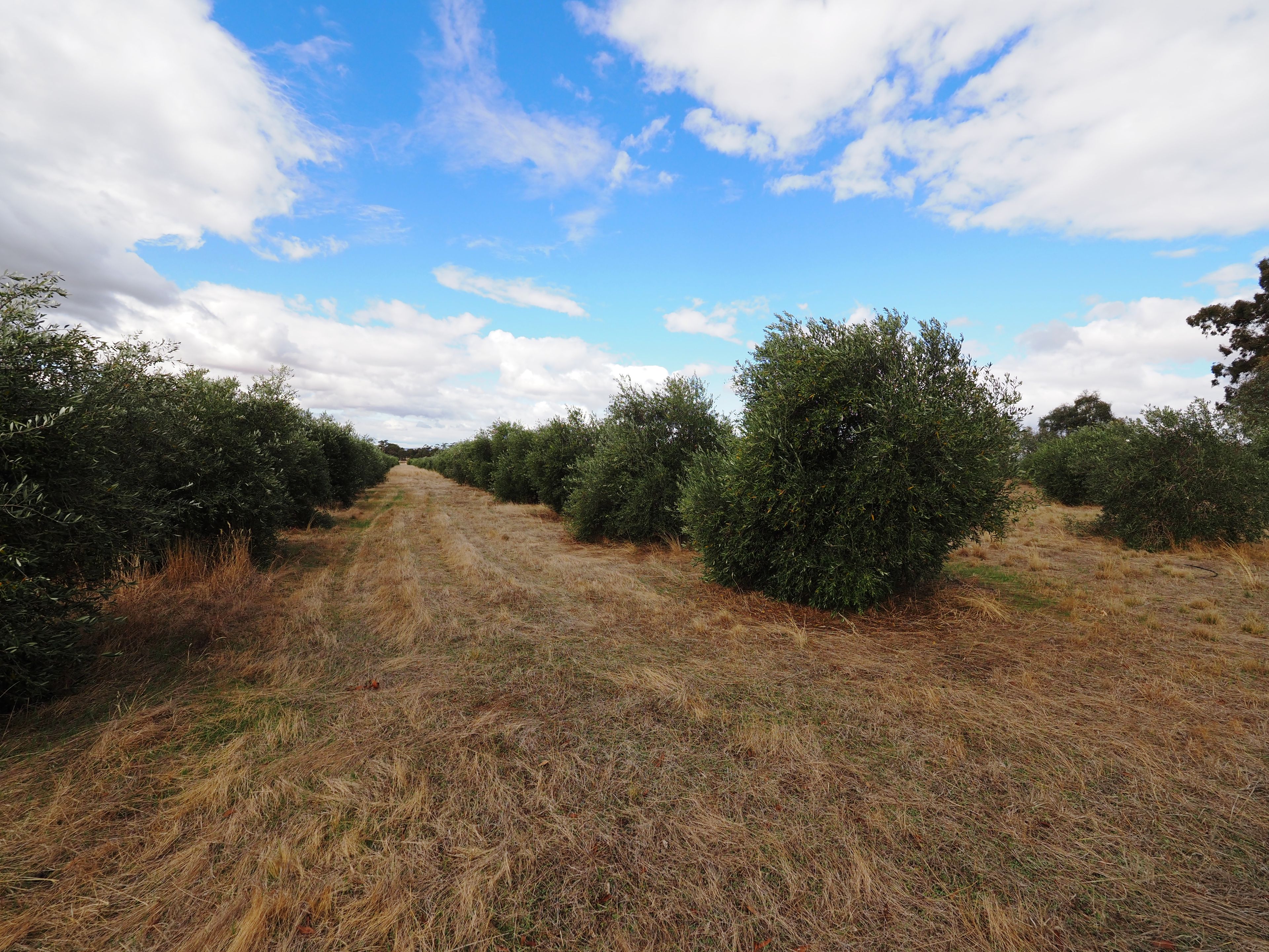 REDBANK, VIC 3477
