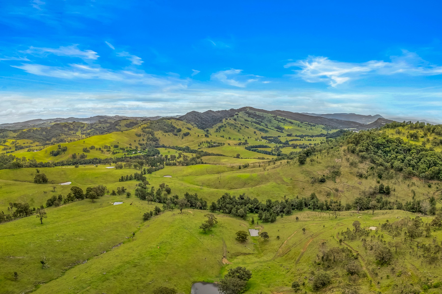 Carrowbrook Road Mount Olive, Singleton, NSW 2330