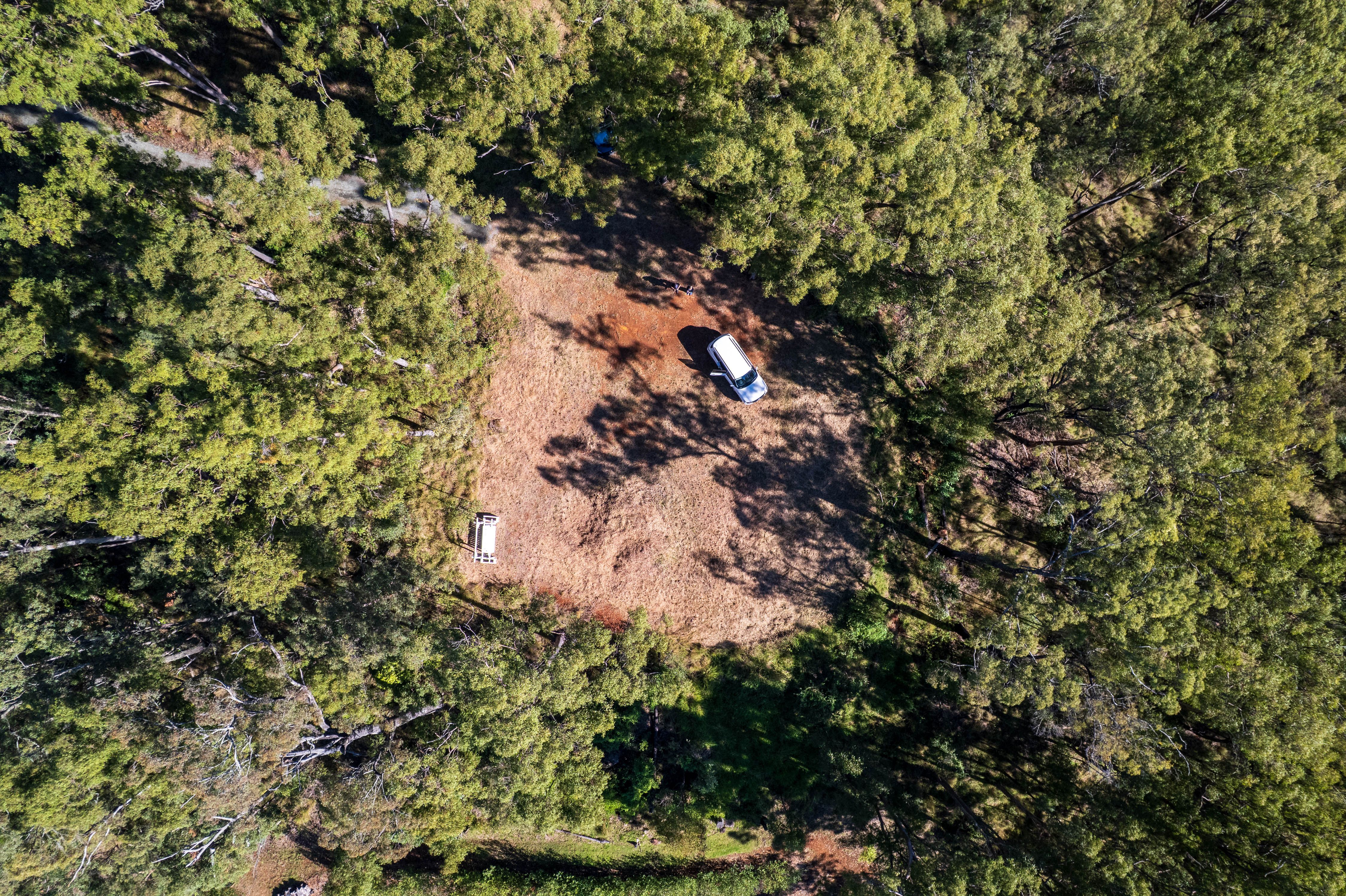 Cedar Creek 2.75 Hectares — photo 4 of 7