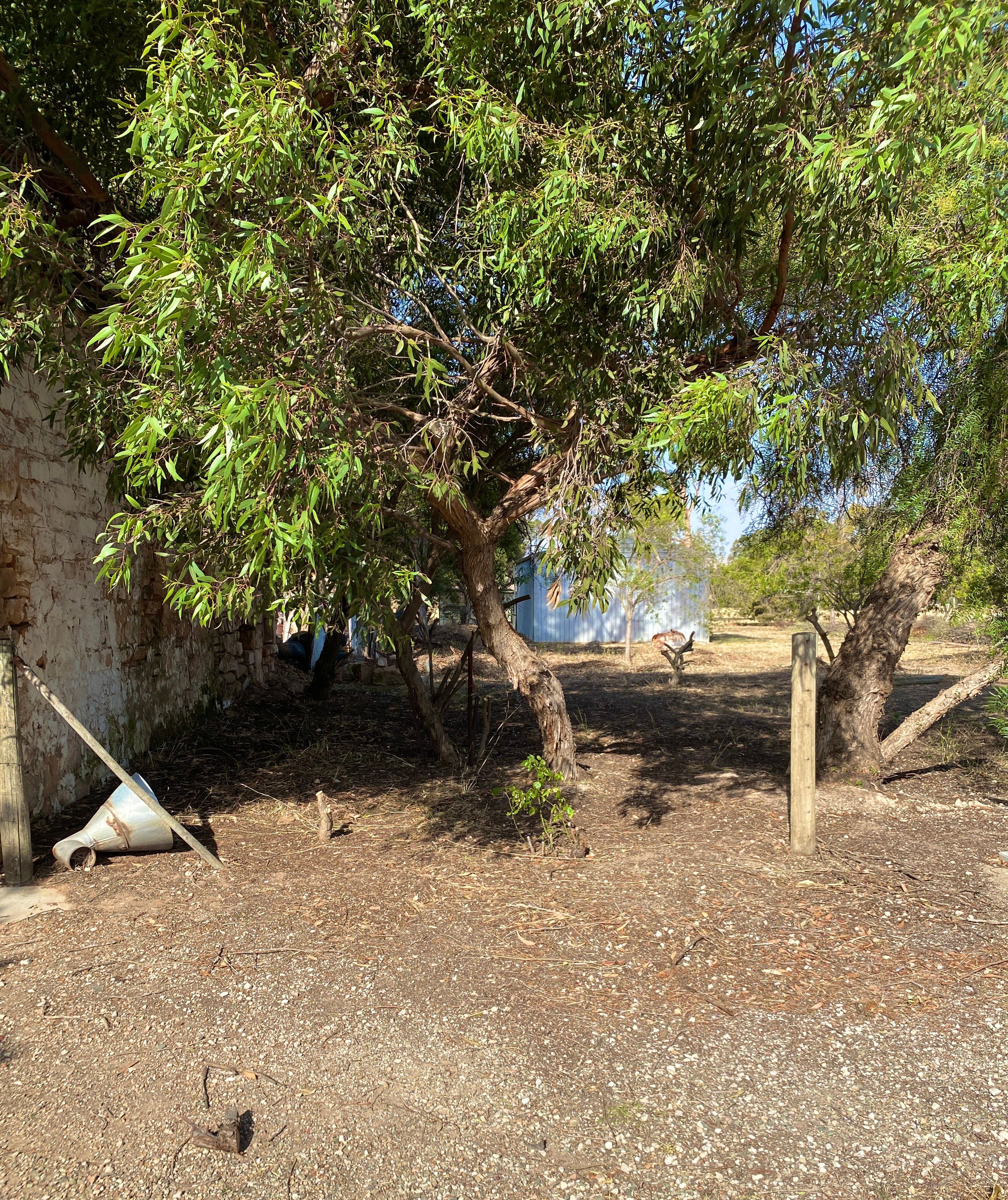 Lot 7 Fisher Street, Georgetown, SA 5472