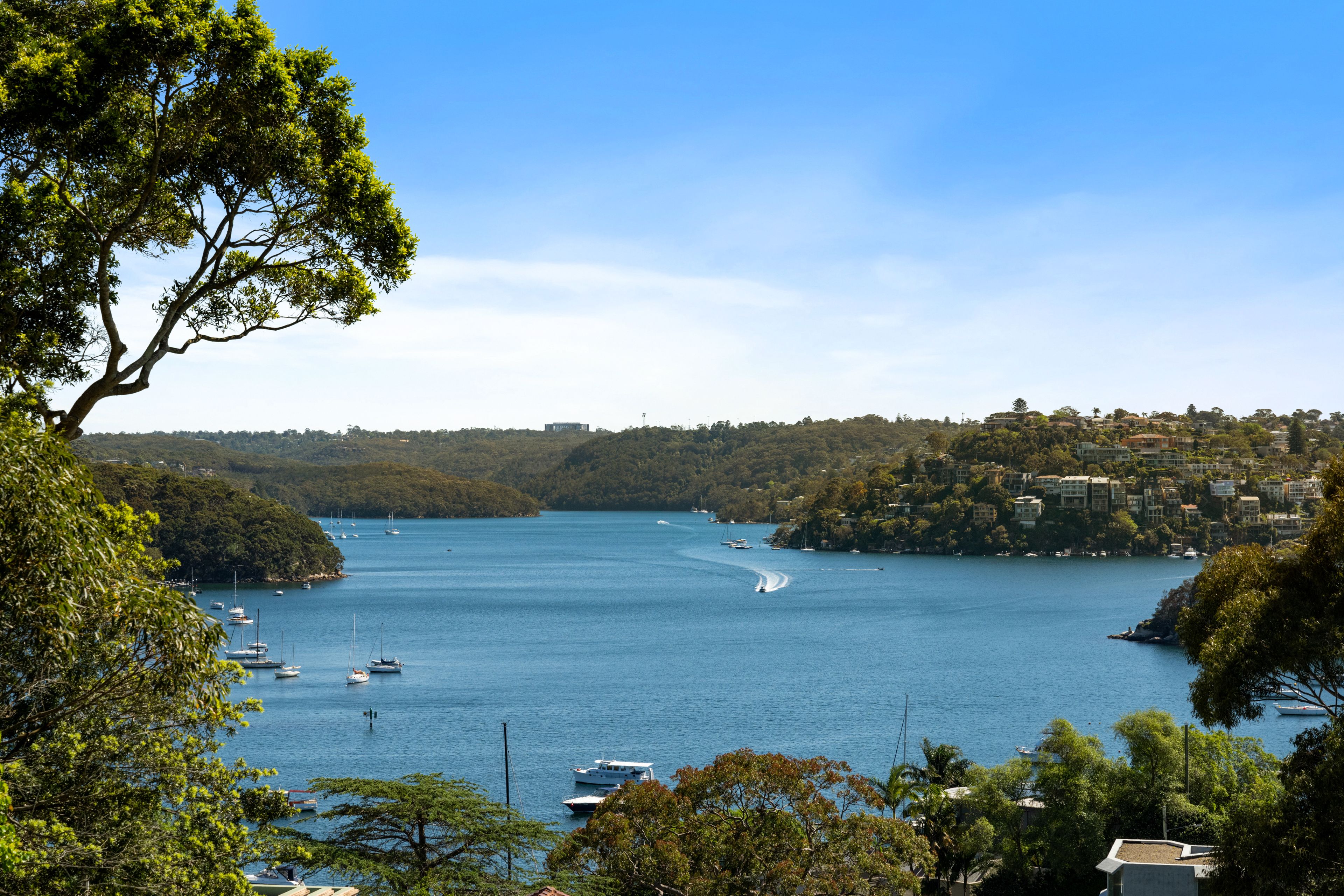 53 Wyong Road, Mosman, NSW 2088