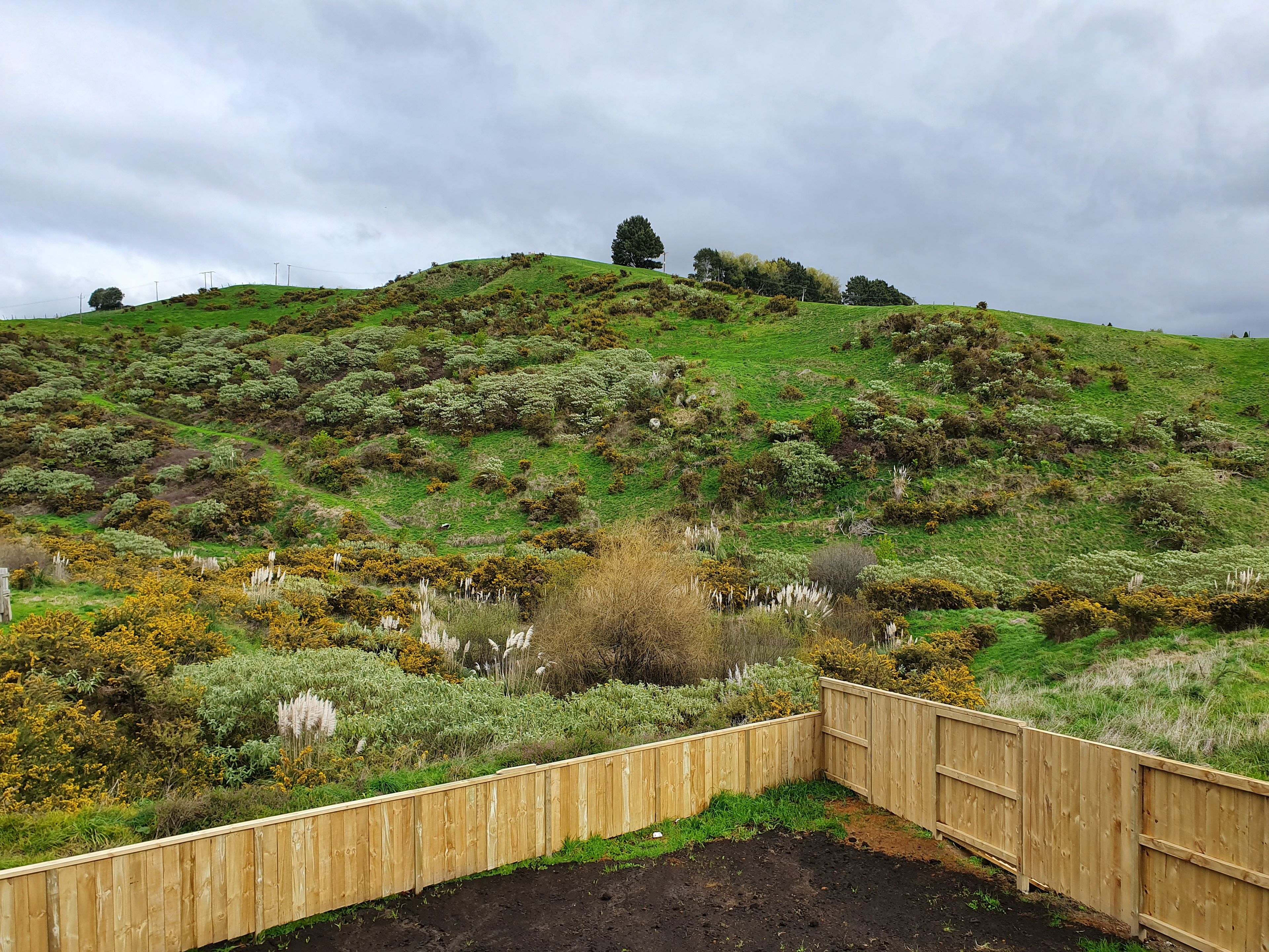 Welcome Bay, Tauranga City