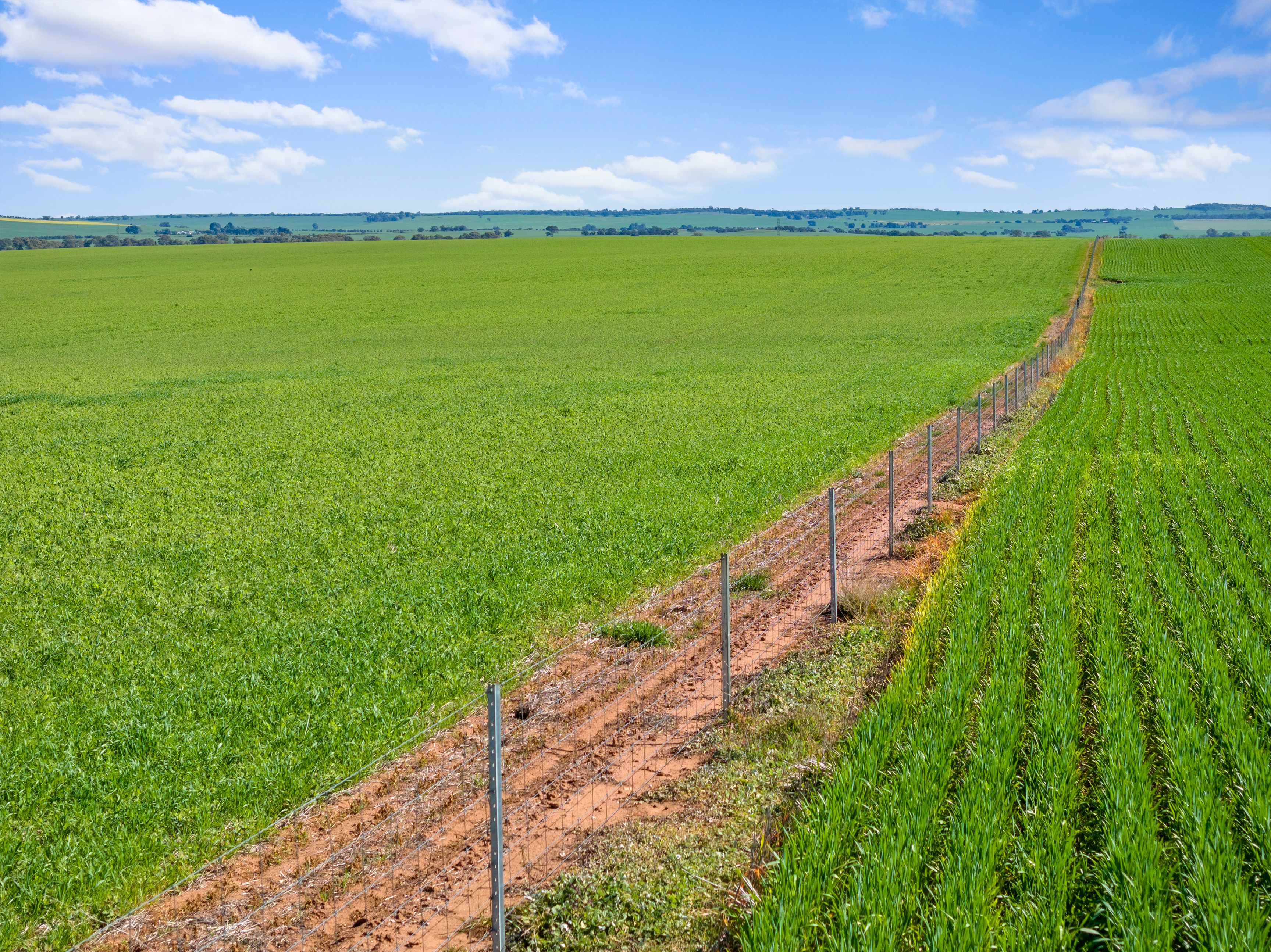 'Huddleston' Road, Gladstone, SA 5473 Sold Rural Cropping Property Ray