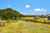 648 West Coast Road photo 22