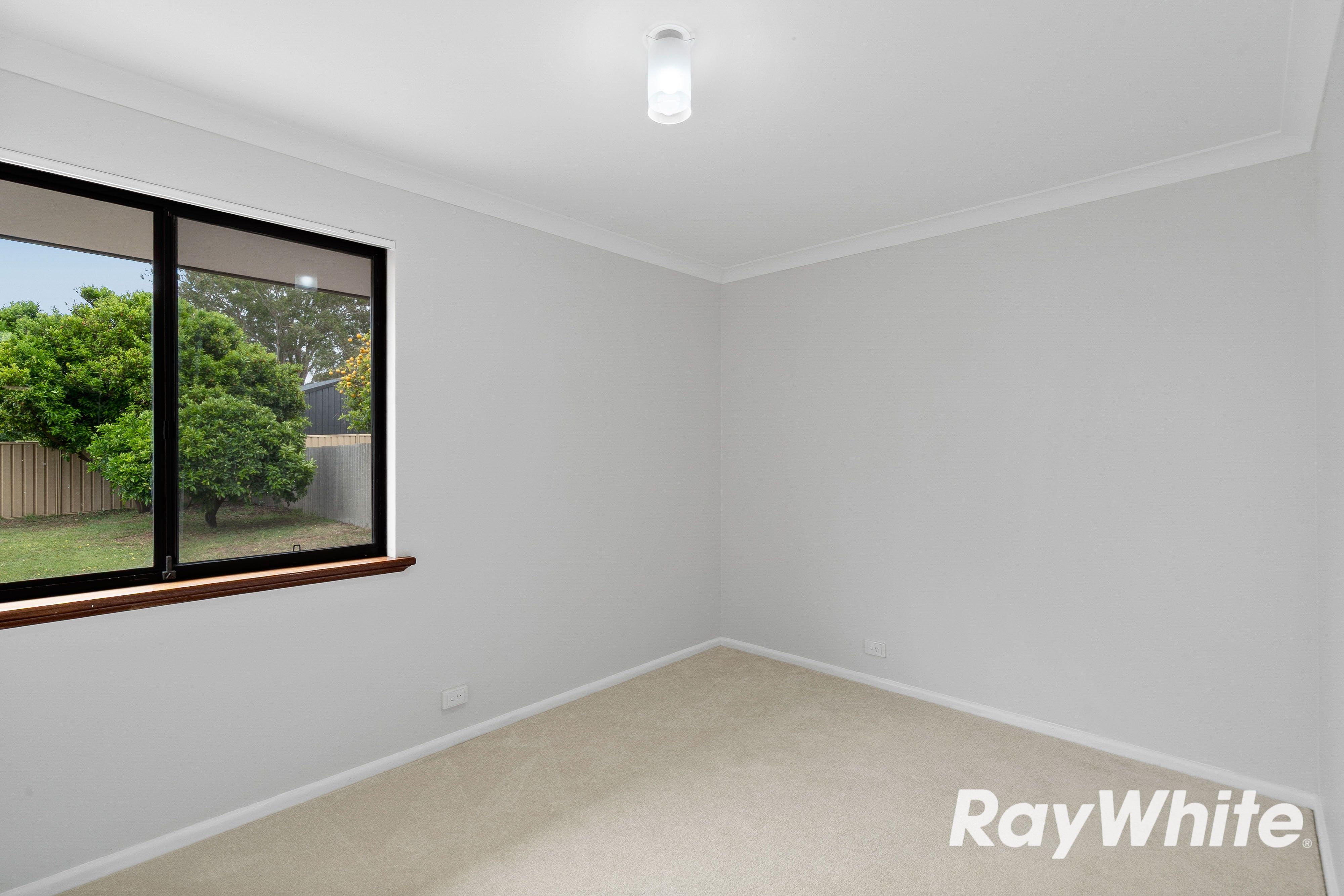 8B Cathryn Street — photo 10 of 21