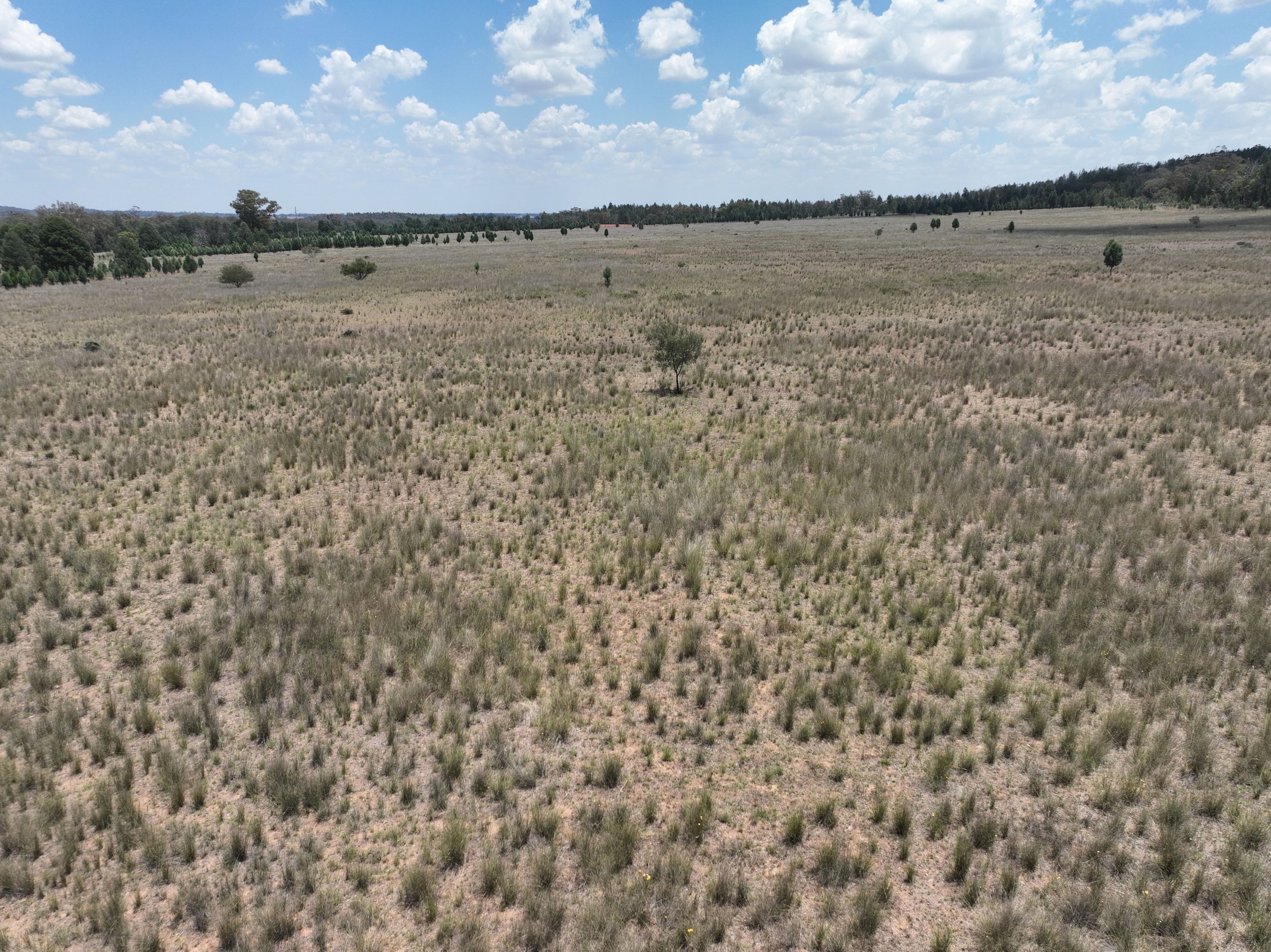 'Illapa' 238L Narromine Road — photo 12 of 30