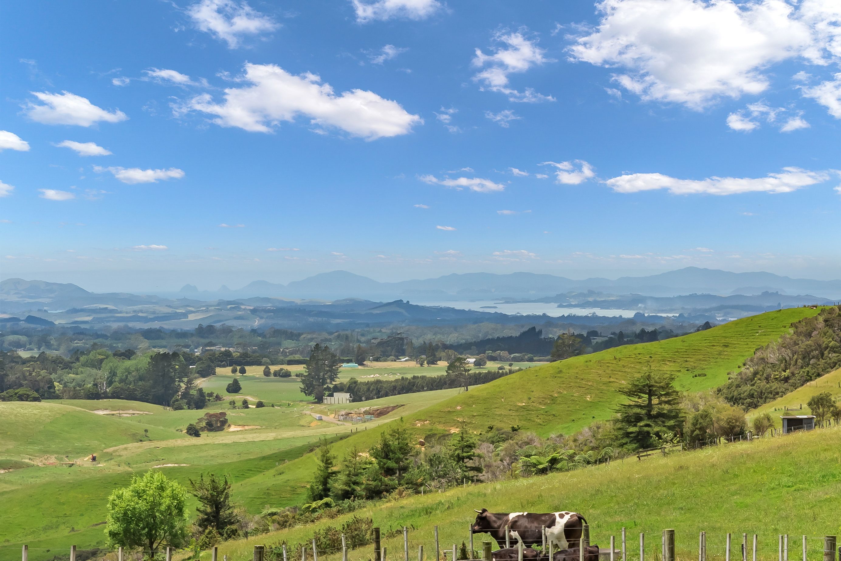 862 Pungaere Road, Waipapa, Far North District