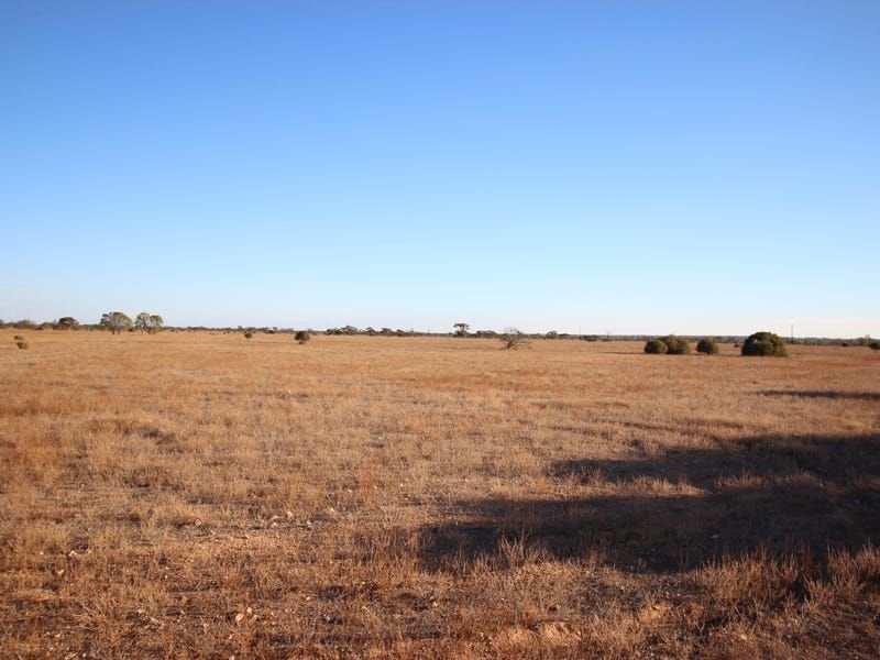 Section 97 Sturt Highway, Blanchetown, SA 5357