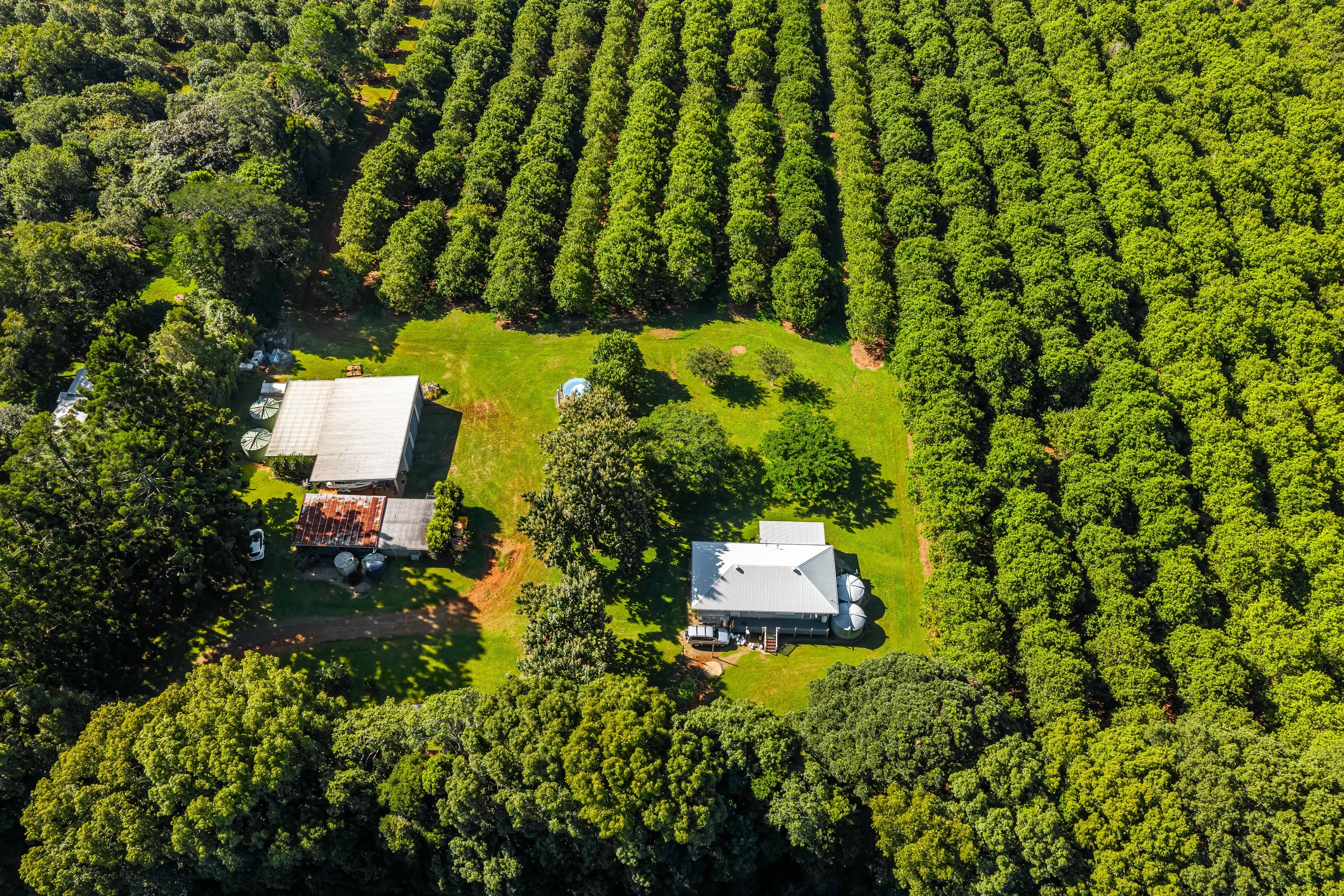 250 Dalwood Road, Dalwood, NSW 2477