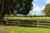 493 Driver Road photo 9