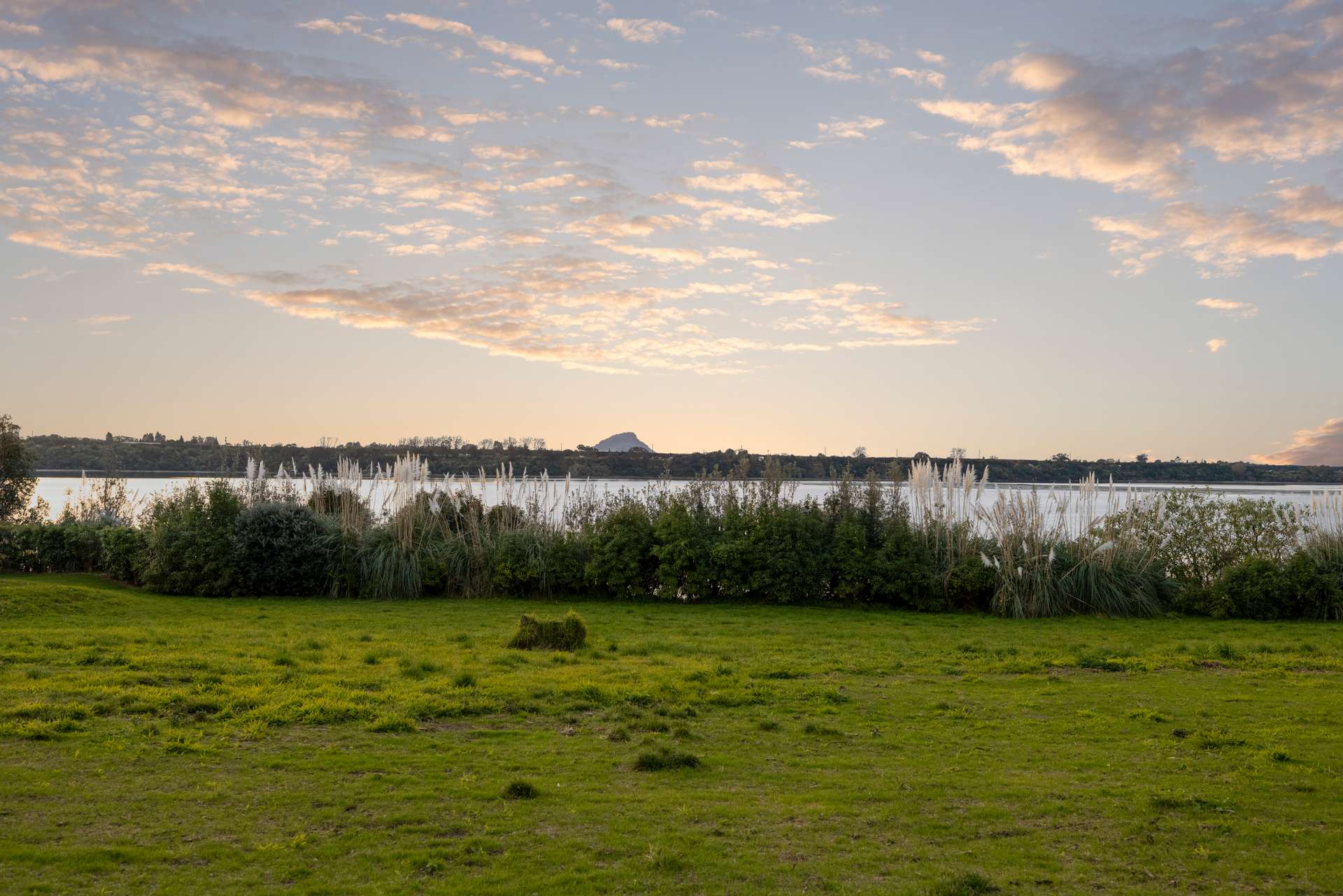 206 Ranginui Road photo 24