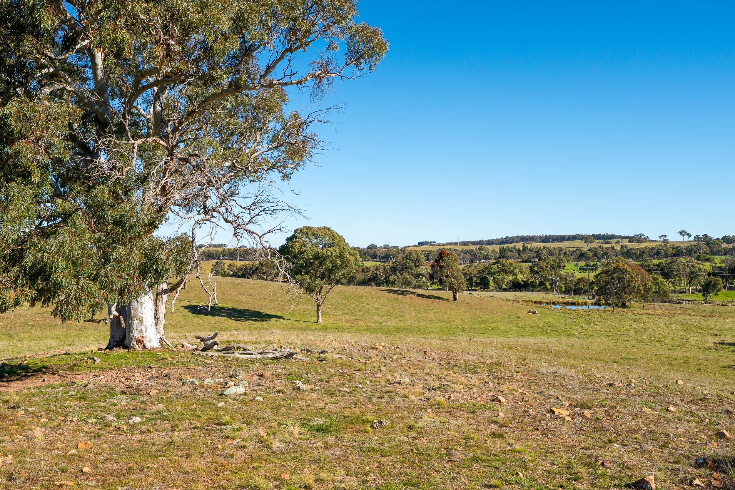 1706 Crookwell Road, Wayo via — photo 15 of 20
